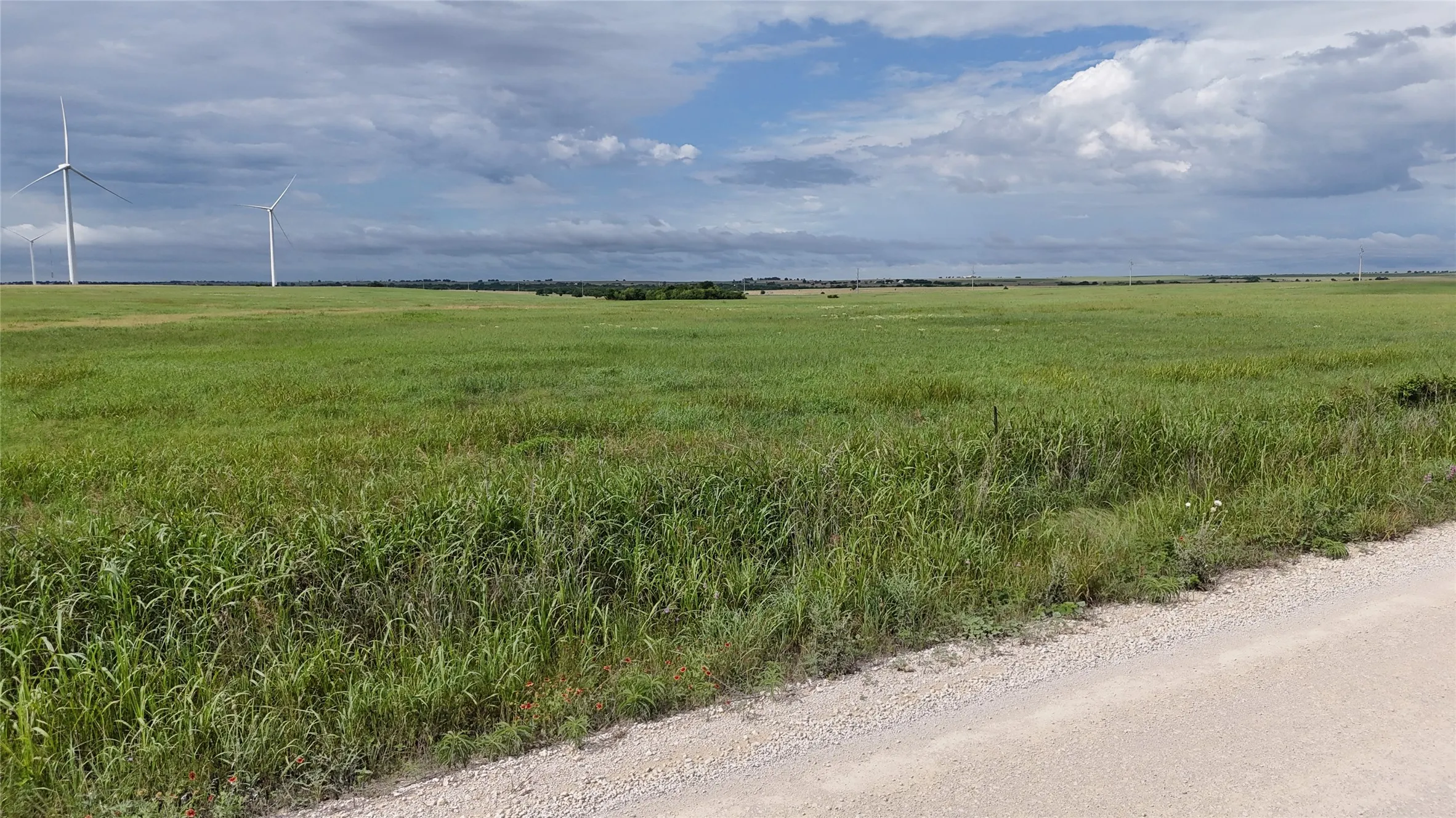 Unimproved Land For Sale in Cooke County , TBD County Road 431, Muenster, Texas 76252, 0, 0, Garage spaces, 0 Sqft, built in 0, mls#21282865, Real Estate Agent in Muenster, Homes For Sale in Cooke county, Homes For Sale in Muenster, Realtor in Muenster Texas, Real Estate Brokerage Independent Realty Texas, Luminita Cordes Realtor