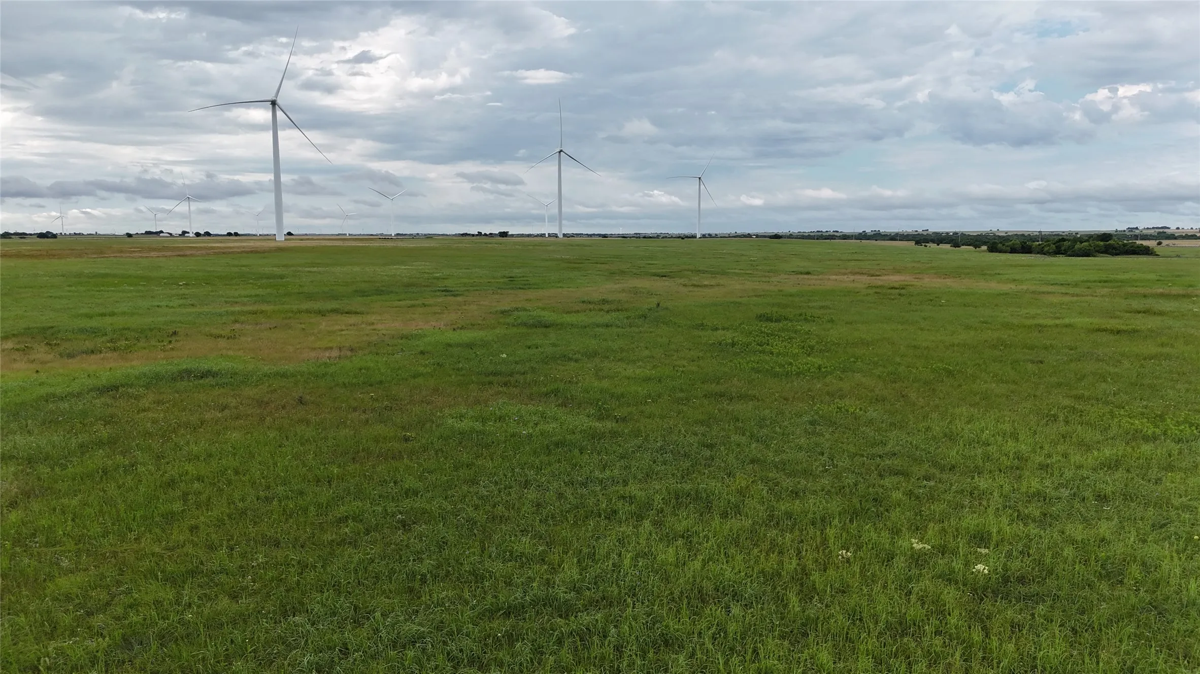 Unimproved Land For Sale in Cooke County , TBD County Road 431, Muenster, Texas 76252, 0, 0, Garage spaces, 0 Sqft, built in 0, mls#21282865, Real Estate Agent in Muenster, Homes For Sale in Cooke county, Homes For Sale in Muenster, Realtor in Muenster Texas, Real Estate Brokerage Independent Realty Texas, Luminita Cordes Realtor