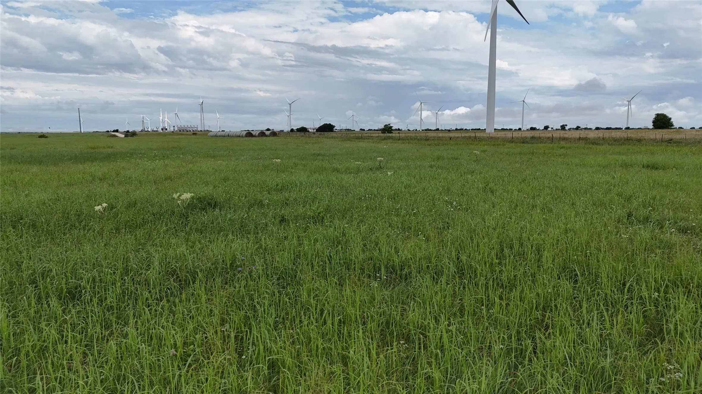 Unimproved Land For Sale in Cooke County , TBD County Road 431, Muenster, Texas 76252, 0, 0, Garage spaces, 0 Sqft, built in 0, mls#21282865, Real Estate Agent in Muenster, Homes For Sale in Cooke county, Homes For Sale in Muenster, Realtor in Muenster Texas, Real Estate Brokerage Independent Realty Texas, Luminita Cordes Realtor