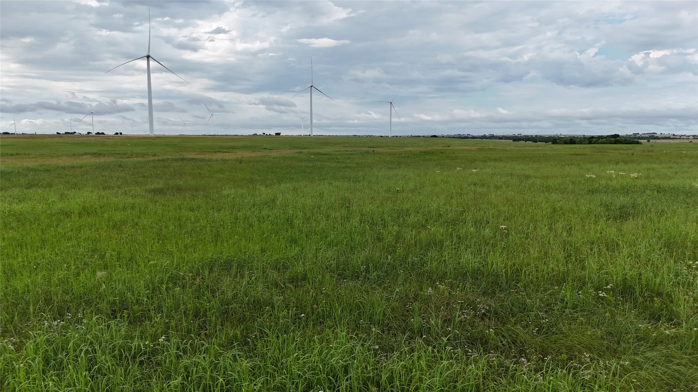Unimproved Land For Sale in Cooke County , TBD County Road 431, Muenster, Texas 76252, 0, 0, Garage spaces, 0 Sqft, built in 0, mls#21282865, Real Estate Agent in Muenster, Homes For Sale in Cooke county, Homes For Sale in Muenster, Realtor in Muenster Texas, Real Estate Brokerage Independent Realty Texas, Luminita Cordes Realtor