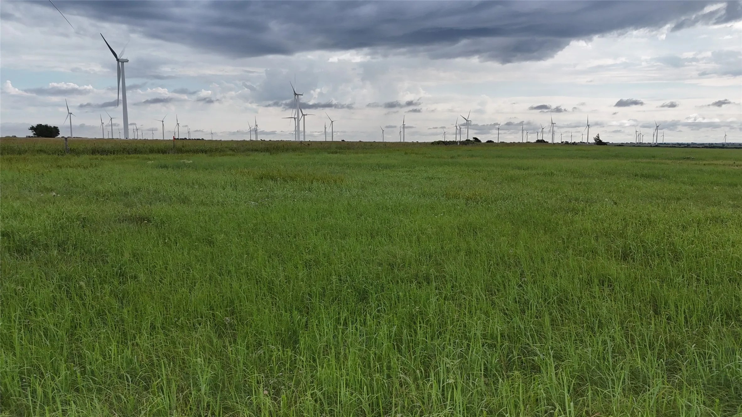 Unimproved Land For Sale in Cooke County , TBD County Road 431, Muenster, Texas 76252, 0, 0, Garage spaces, 0 Sqft, built in 0, mls#21282865, Real Estate Agent in Muenster, Homes For Sale in Cooke county, Homes For Sale in Muenster, Realtor in Muenster Texas, Real Estate Brokerage Independent Realty Texas, Luminita Cordes Realtor