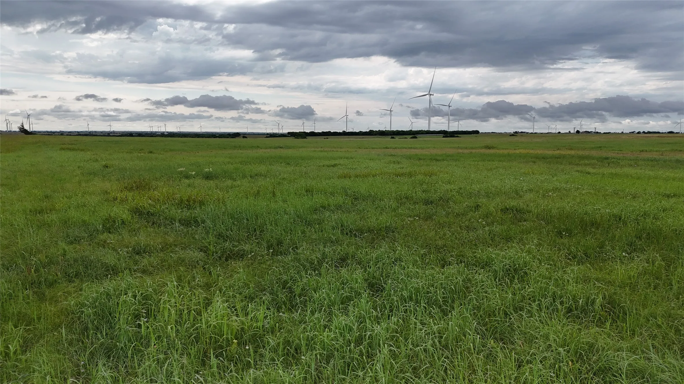 Unimproved Land For Sale in Cooke County , TBD County Road 431, Muenster, Texas 76252, 0, 0, Garage spaces, 0 Sqft, built in 0, mls#21282865, Real Estate Agent in Muenster, Homes For Sale in Cooke county, Homes For Sale in Muenster, Realtor in Muenster Texas, Real Estate Brokerage Independent Realty Texas, Luminita Cordes Realtor