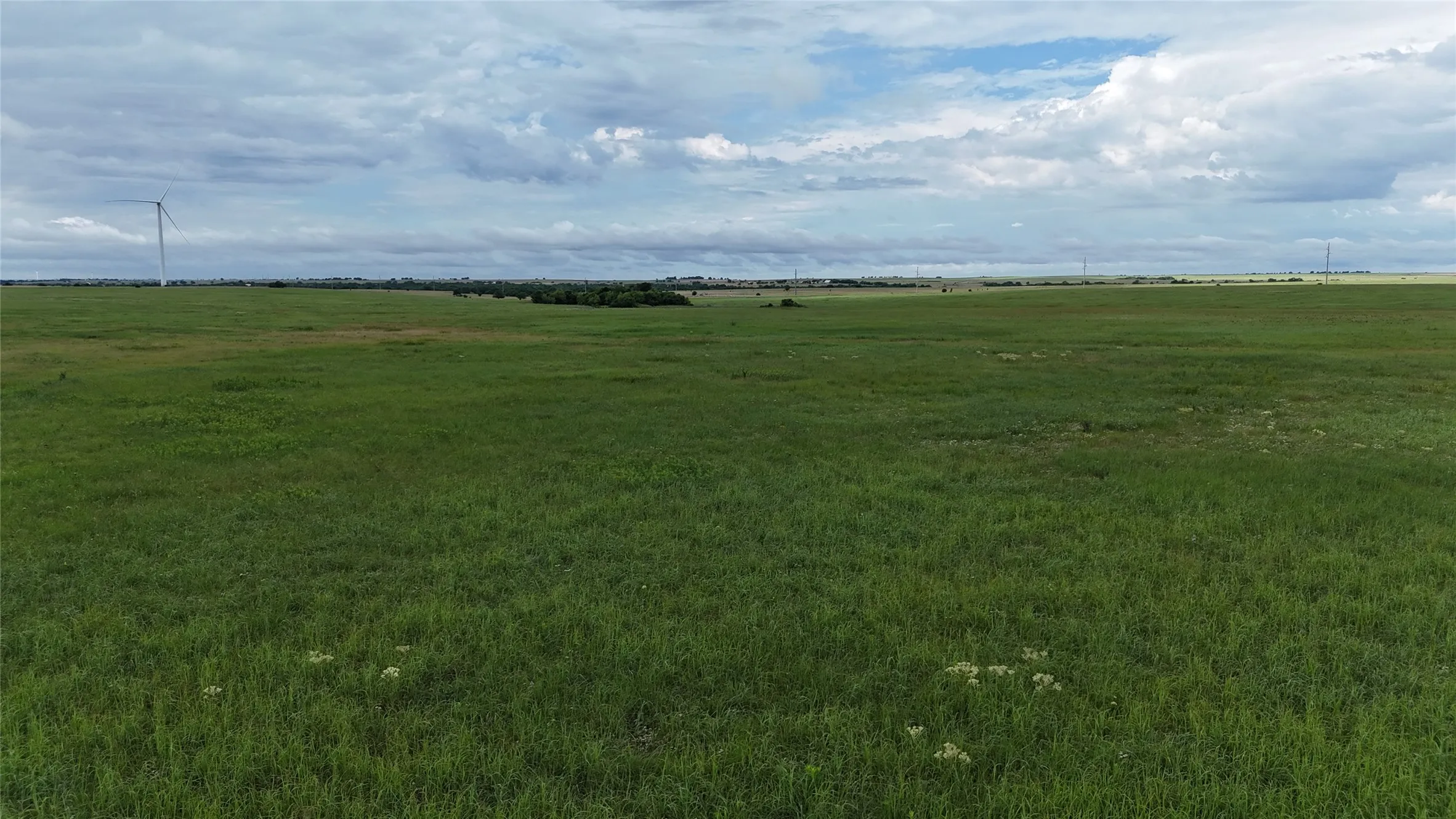 Unimproved Land For Sale in Cooke County , TBD County Road 431, Muenster, Texas 76252, 0, 0, Garage spaces, 0 Sqft, built in 0, mls#21282865, Real Estate Agent in Muenster, Homes For Sale in Cooke county, Homes For Sale in Muenster, Realtor in Muenster Texas, Real Estate Brokerage Independent Realty Texas, Luminita Cordes Realtor