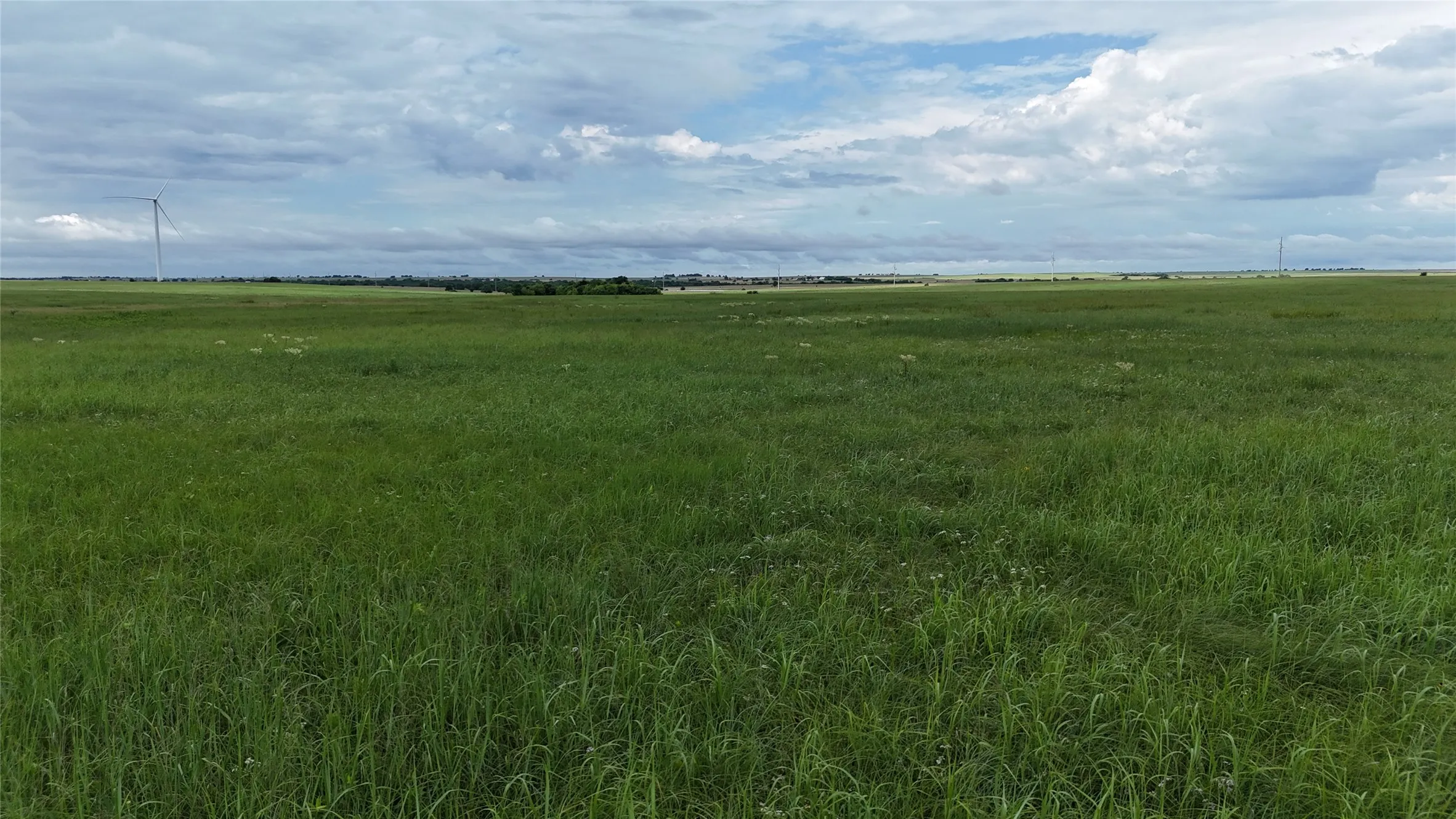 Unimproved Land For Sale in Cooke County , TBD County Road 431, Muenster, Texas 76252, 0, 0, Garage spaces, 0 Sqft, built in 0, mls#21282865, Real Estate Agent in Muenster, Homes For Sale in Cooke county, Homes For Sale in Muenster, Realtor in Muenster Texas, Real Estate Brokerage Independent Realty Texas, Luminita Cordes Realtor