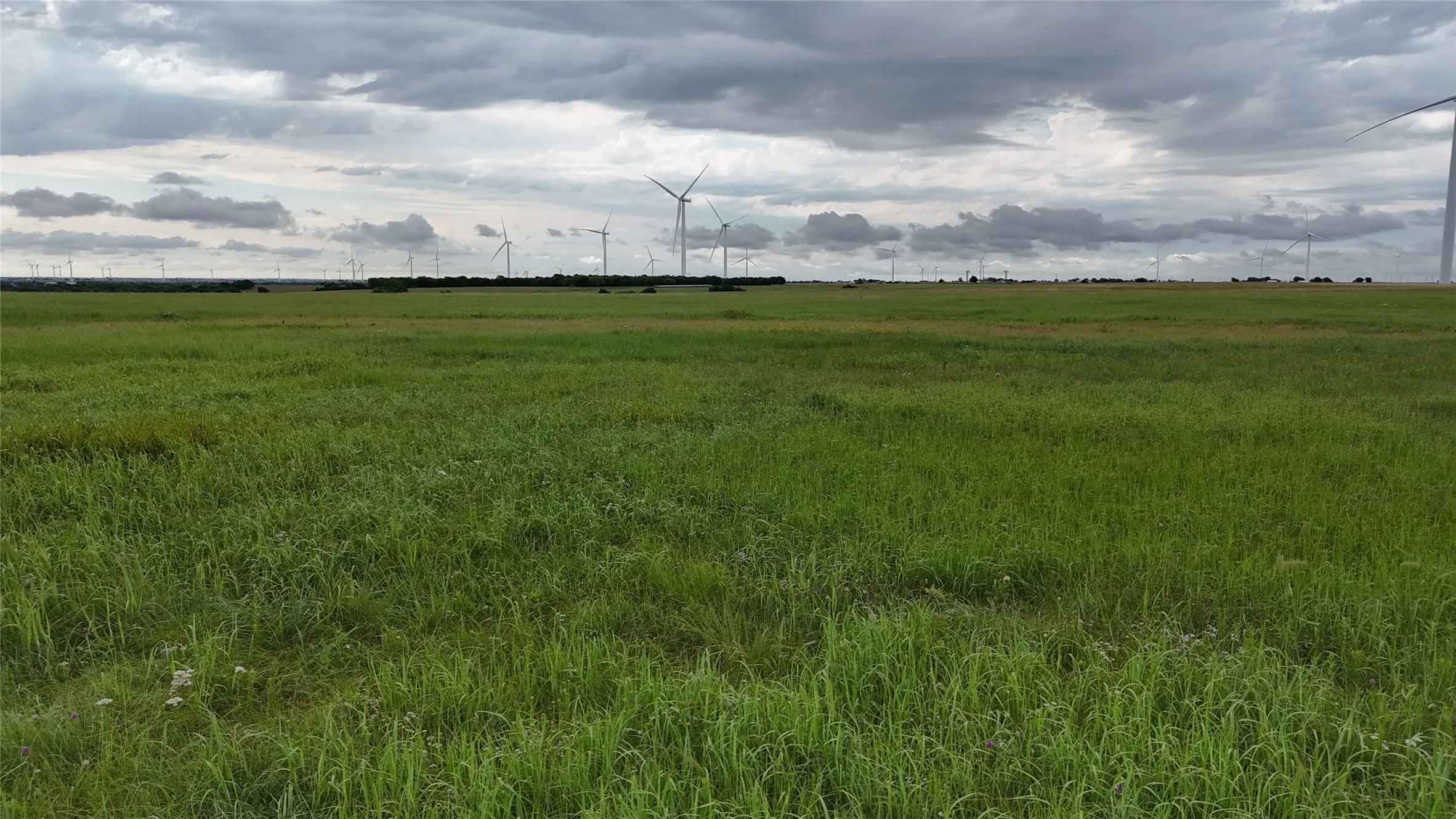 Unimproved Land For Sale in Cooke County , TBD County Road 431, Muenster, Texas 76252, 0, 0, Garage spaces, 0 Sqft, built in 0, mls#21282865, Real Estate Agent in Muenster, Homes For Sale in Cooke county, Homes For Sale in Muenster, Realtor in Muenster Texas, Real Estate Brokerage Independent Realty Texas, Luminita Cordes Realtor