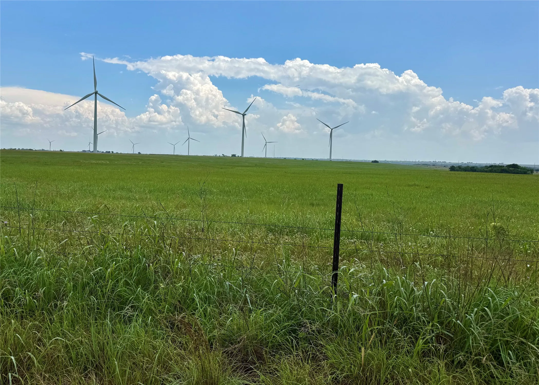 Unimproved Land For Sale in Cooke County , TBD County Road 431, Muenster, Texas 76252, 0, 0, Garage spaces, 0 Sqft, built in 0, mls#21282865, Real Estate Agent in Muenster, Homes For Sale in Cooke county, Homes For Sale in Muenster, Realtor in Muenster Texas, Real Estate Brokerage Independent Realty Texas, Luminita Cordes Realtor