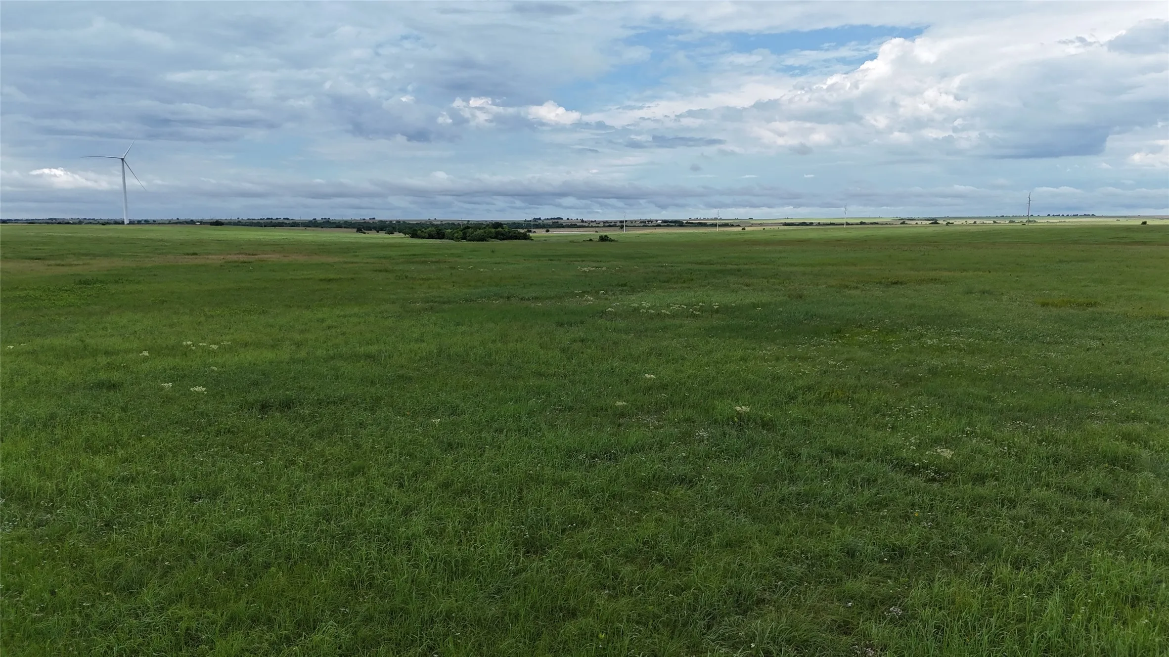Unimproved Land For Sale in Cooke County , TBD County Road 431, Muenster, Texas 76252, 0, 0, Garage spaces, 0 Sqft, built in 0, mls#21282865, Real Estate Agent in Muenster, Homes For Sale in Cooke county, Homes For Sale in Muenster, Realtor in Muenster Texas, Real Estate Brokerage Independent Realty Texas, Luminita Cordes Realtor