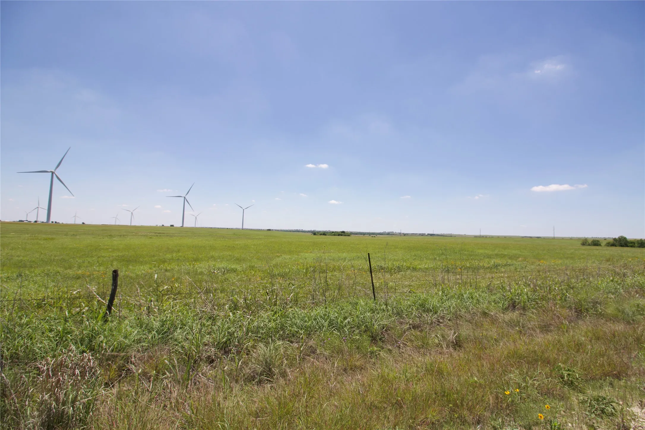 Unimproved Land For Sale in Cooke County , TBD County Road 431, Muenster, Texas 76252, 0, 0, Garage spaces, 0 Sqft, built in 0, mls#21282865, Real Estate Agent in Muenster, Homes For Sale in Cooke county, Homes For Sale in Muenster, Realtor in Muenster Texas, Real Estate Brokerage Independent Realty Texas, Luminita Cordes Realtor