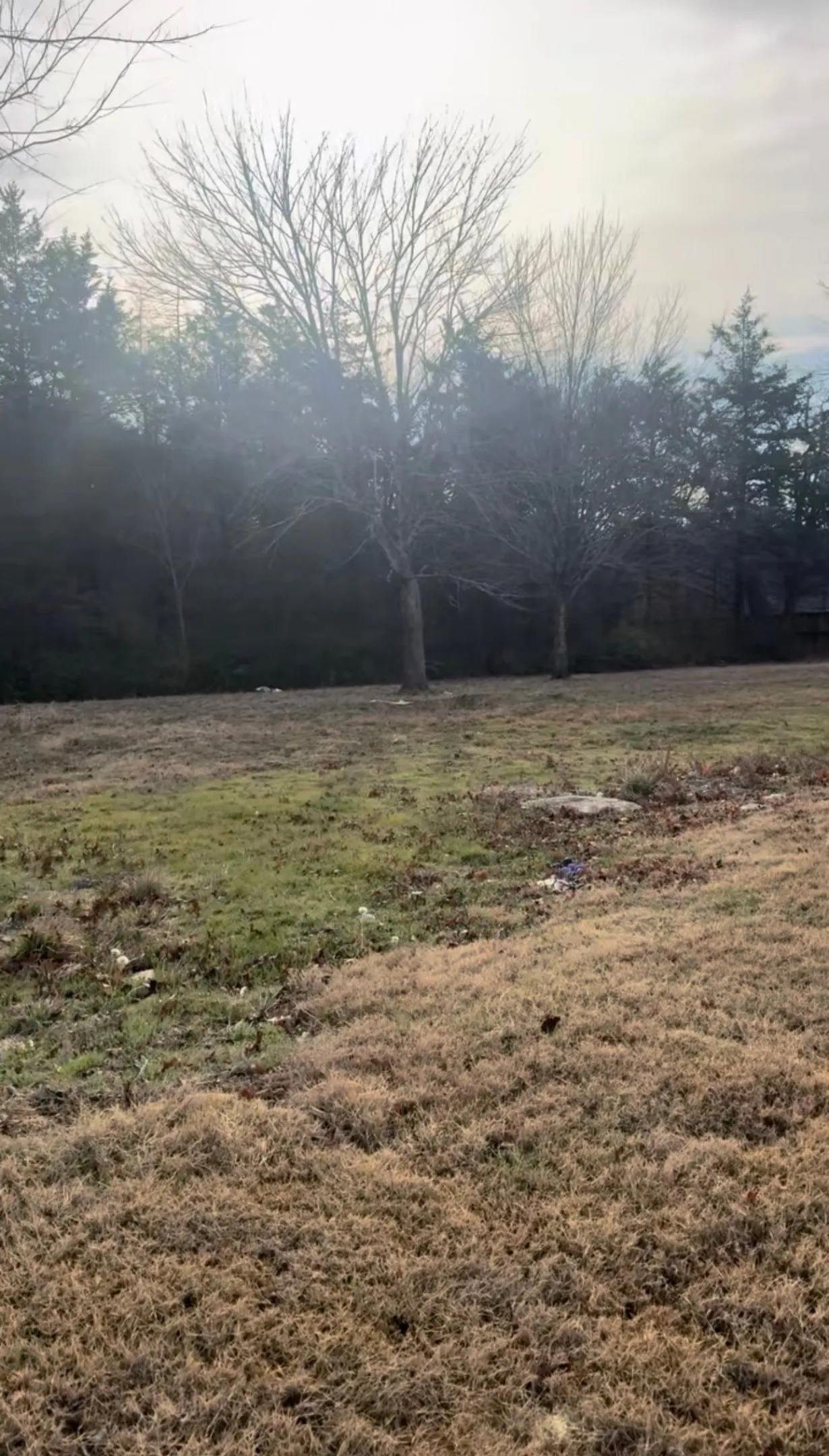 Unimproved Land For Sale in Grayson County , 0 Amsden Circle, Denison, Texas 75020, 0, 0, Garage spaces, 0 Sqft, built in 0, mls#21282898, Real Estate Agent in Denison, Homes For Sale in Grayson county, Homes For Sale in Denison, Realtor in Denison Texas, Real Estate Brokerage Independent Realty Texas, Luminita Cordes Realtor