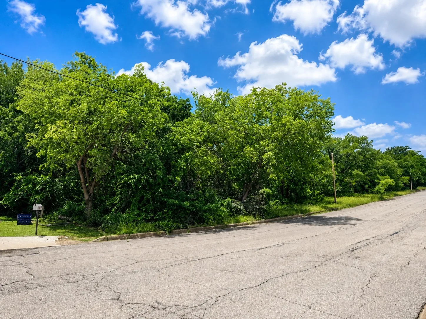 Roadside property featuring mature tree coverage and a sloped terrain