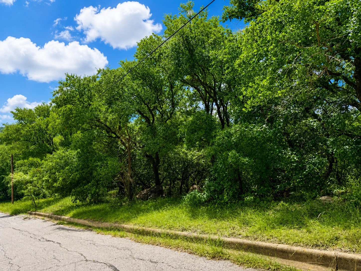 Unimproved Land For Sale in Palo Pinto County , 00 NW 10th St, Mineral Wells, Texas 76067, 0, 0, Garage spaces, 0 Sqft, built in 0, Price $50,000, mls#21282452, Real Estate Agent in Mineral Wells, Homes For Sale in Palo Pinto county, Homes For Sale in Mineral Wells, Realtor in Mineral Wells Texas, Real Estate Brokerage Independent Realty Texas, Luminita Cordes Realtor
