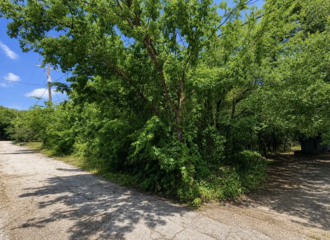 Unimproved Land For Sale in Palo Pinto County , 00 NW 10th St, Mineral Wells, Texas 76067, 0, 0, Garage spaces, 0 Sqft, built in 0, Price $50,000, mls#21282452, Real Estate Agent in Mineral Wells, Homes For Sale in Palo Pinto county, Homes For Sale in Mineral Wells, Realtor in Mineral Wells Texas, Real Estate Brokerage Independent Realty Texas, Luminita Cordes Realtor