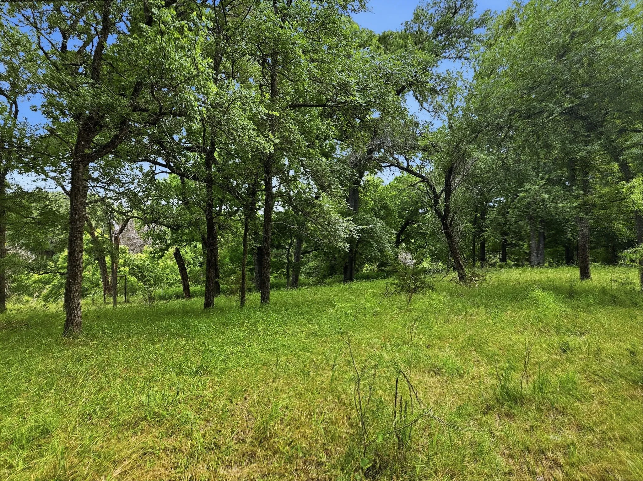 Ranch For Sale in Lampasas County , 11126 Fm 581 E, Lometa, Texas 76853, 0, 0, Garage spaces, 0 Sqft, built in 1978, Price $1,998,000, mls#21283068, Real Estate Agent in Lometa, Homes For Sale in Lampasas county, Homes For Sale in Lometa, Realtor in Lometa Texas, Real Estate Brokerage Independent Realty Texas, Luminita Cordes Realtor