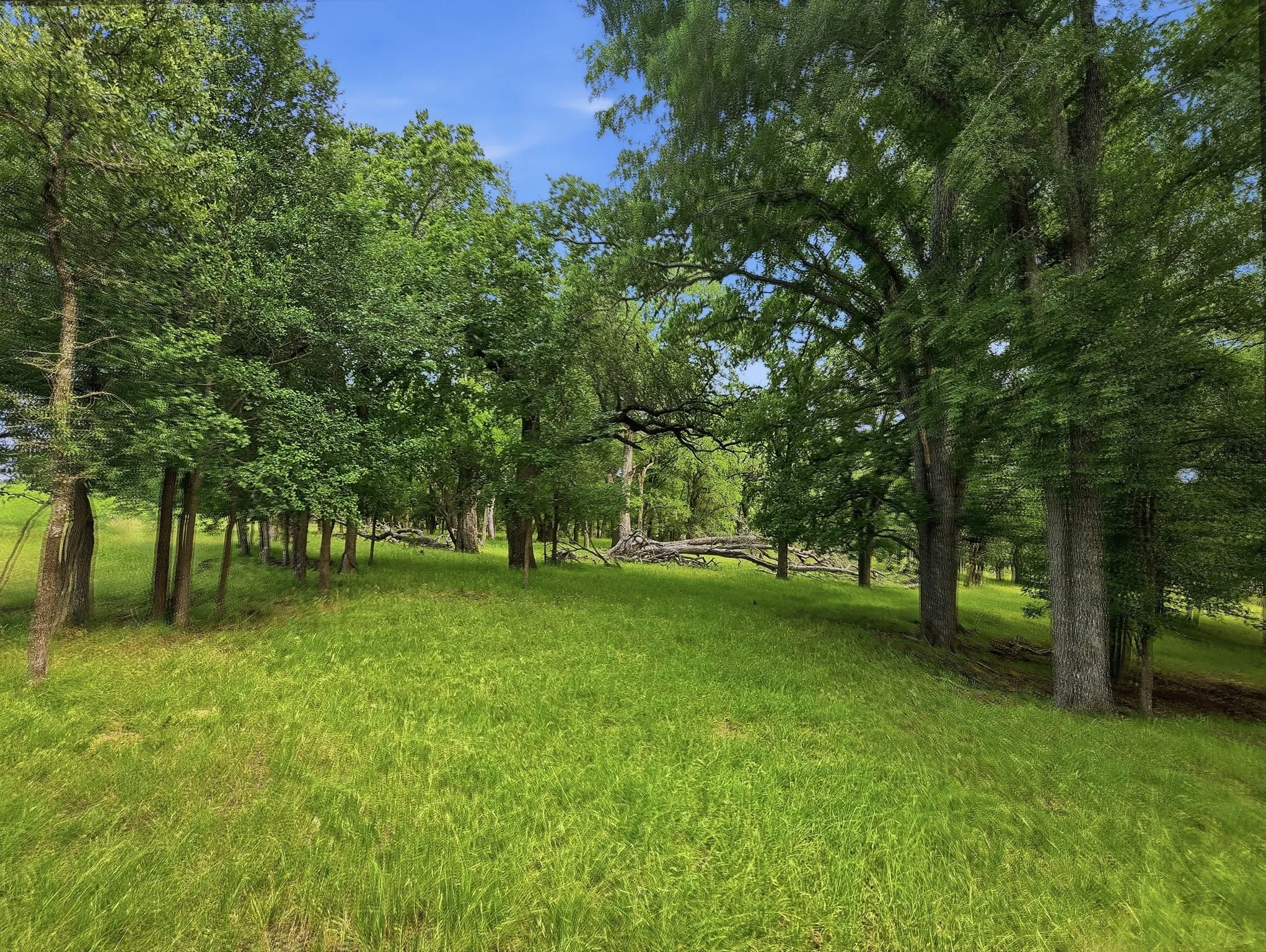 Ranch For Sale in Lampasas County , 11126 Fm 581 E, Lometa, Texas 76853, 0, 0, Garage spaces, 0 Sqft, built in 1978, Price $1,998,000, mls#21283068, Real Estate Agent in Lometa, Homes For Sale in Lampasas county, Homes For Sale in Lometa, Realtor in Lometa Texas, Real Estate Brokerage Independent Realty Texas, Luminita Cordes Realtor