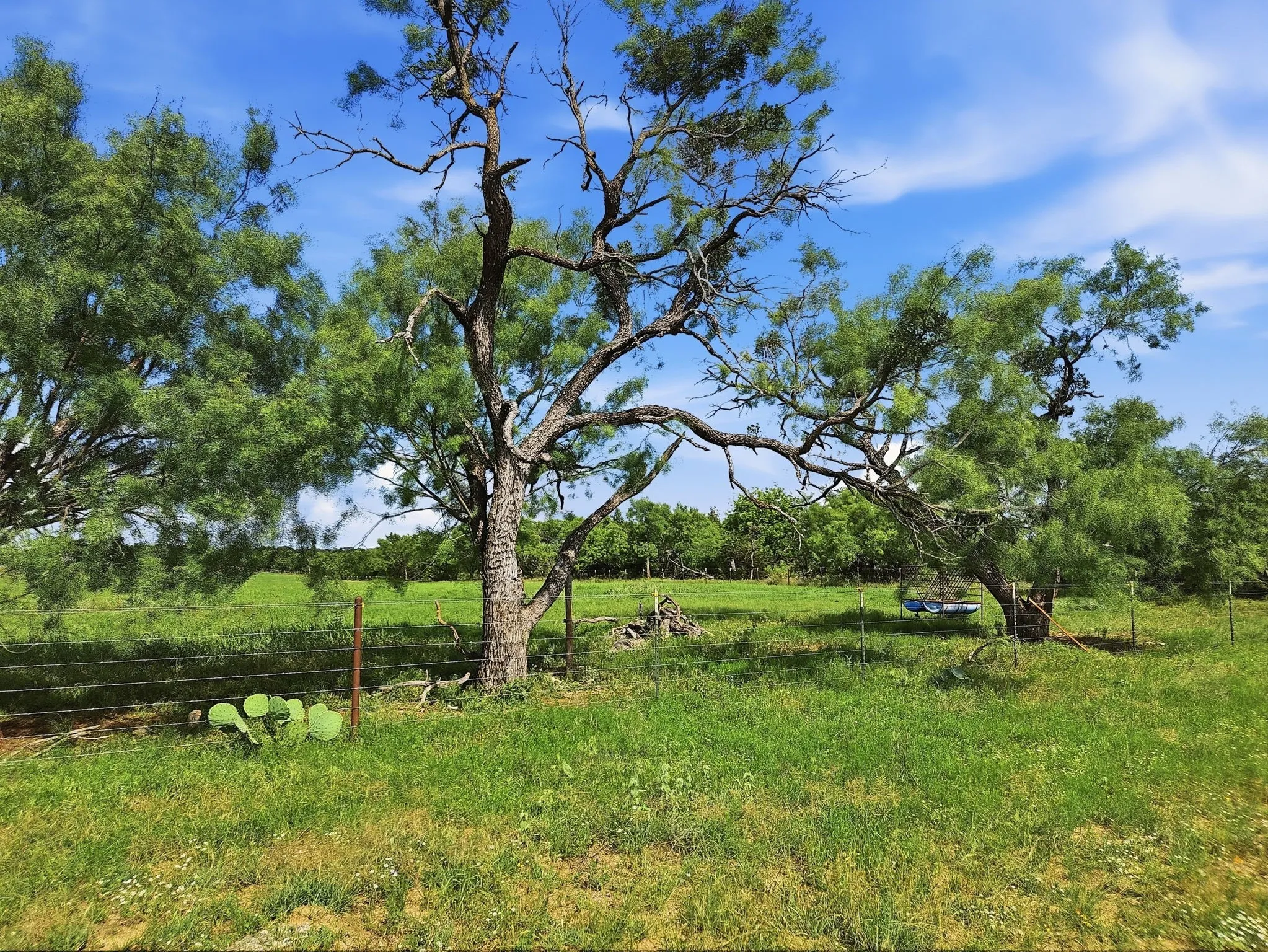 Ranch For Sale in Lampasas County , 11126 Fm 581 E, Lometa, Texas 76853, 0, 0, Garage spaces, 0 Sqft, built in 1978, Price $1,998,000, mls#21283068, Real Estate Agent in Lometa, Homes For Sale in Lampasas county, Homes For Sale in Lometa, Realtor in Lometa Texas, Real Estate Brokerage Independent Realty Texas, Luminita Cordes Realtor