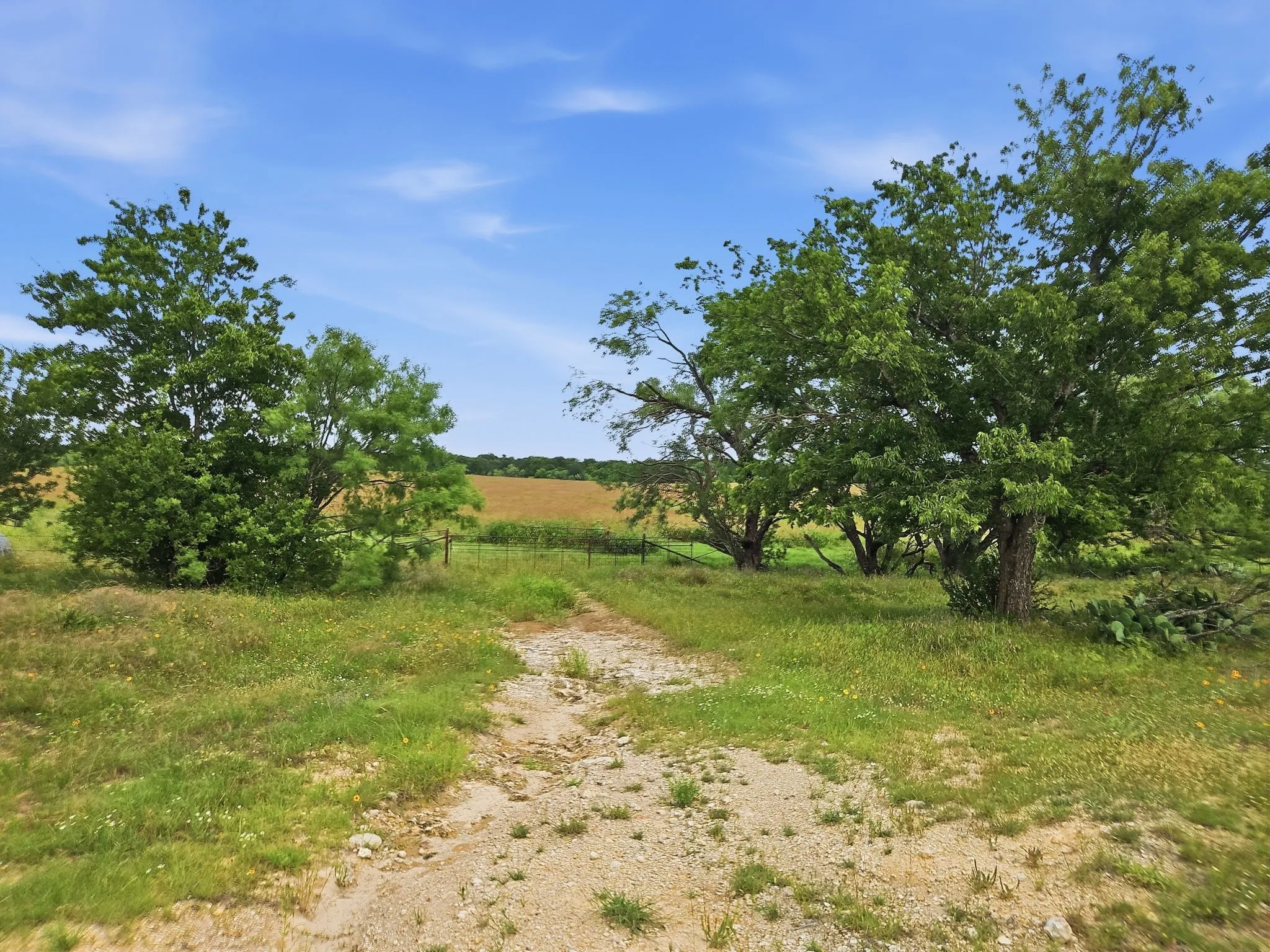 Ranch For Sale in Lampasas County , 11126 Fm 581 E, Lometa, Texas 76853, 0, 0, Garage spaces, 0 Sqft, built in 1978, Price $1,998,000, mls#21283068, Real Estate Agent in Lometa, Homes For Sale in Lampasas county, Homes For Sale in Lometa, Realtor in Lometa Texas, Real Estate Brokerage Independent Realty Texas, Luminita Cordes Realtor
