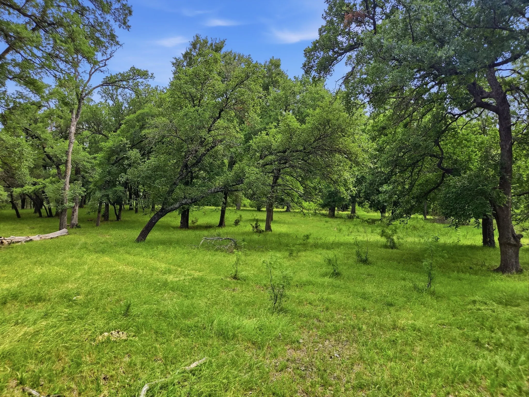 Ranch For Sale in Lampasas County , 11126 Fm 581 E, Lometa, Texas 76853, 0, 0, Garage spaces, 0 Sqft, built in 1978, Price $1,998,000, mls#21283068, Real Estate Agent in Lometa, Homes For Sale in Lampasas county, Homes For Sale in Lometa, Realtor in Lometa Texas, Real Estate Brokerage Independent Realty Texas, Luminita Cordes Realtor