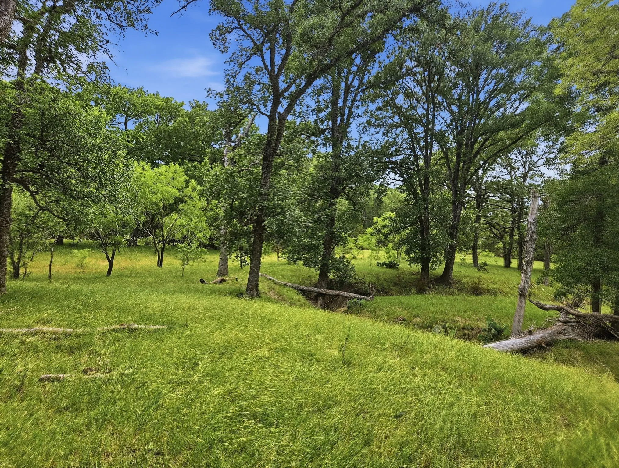 Ranch For Sale in Lampasas County , 11126 Fm 581 E, Lometa, Texas 76853, 0, 0, Garage spaces, 0 Sqft, built in 1978, Price $1,998,000, mls#21283068, Real Estate Agent in Lometa, Homes For Sale in Lampasas county, Homes For Sale in Lometa, Realtor in Lometa Texas, Real Estate Brokerage Independent Realty Texas, Luminita Cordes Realtor