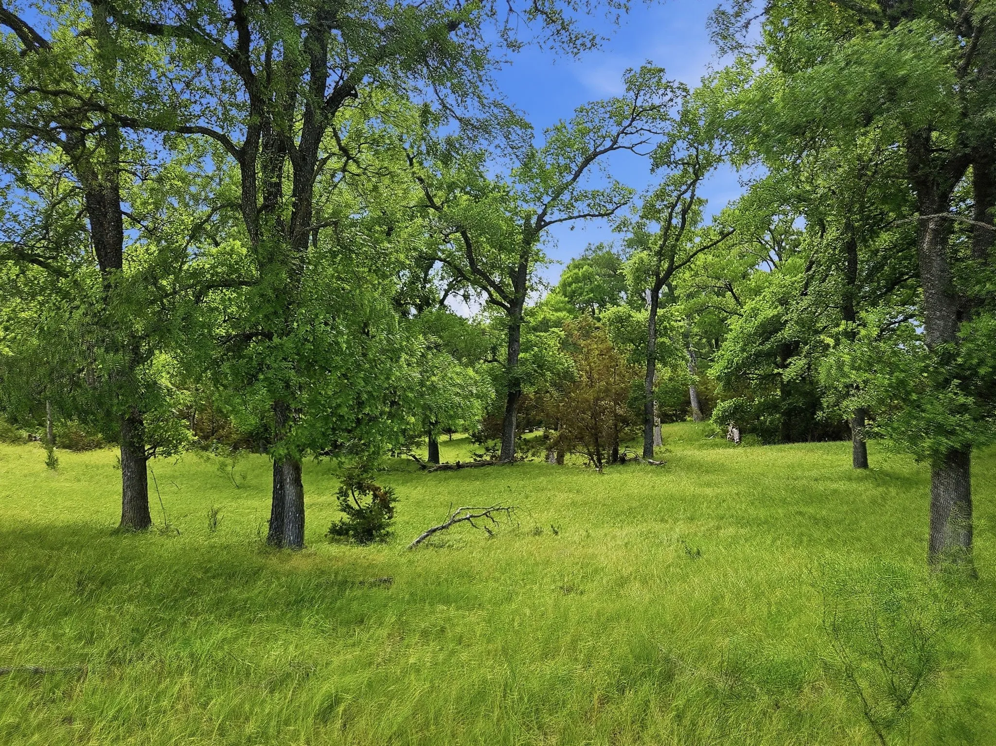 Ranch For Sale in Lampasas County , 11126 Fm 581 E, Lometa, Texas 76853, 0, 0, Garage spaces, 0 Sqft, built in 1978, Price $1,998,000, mls#21283068, Real Estate Agent in Lometa, Homes For Sale in Lampasas county, Homes For Sale in Lometa, Realtor in Lometa Texas, Real Estate Brokerage Independent Realty Texas, Luminita Cordes Realtor