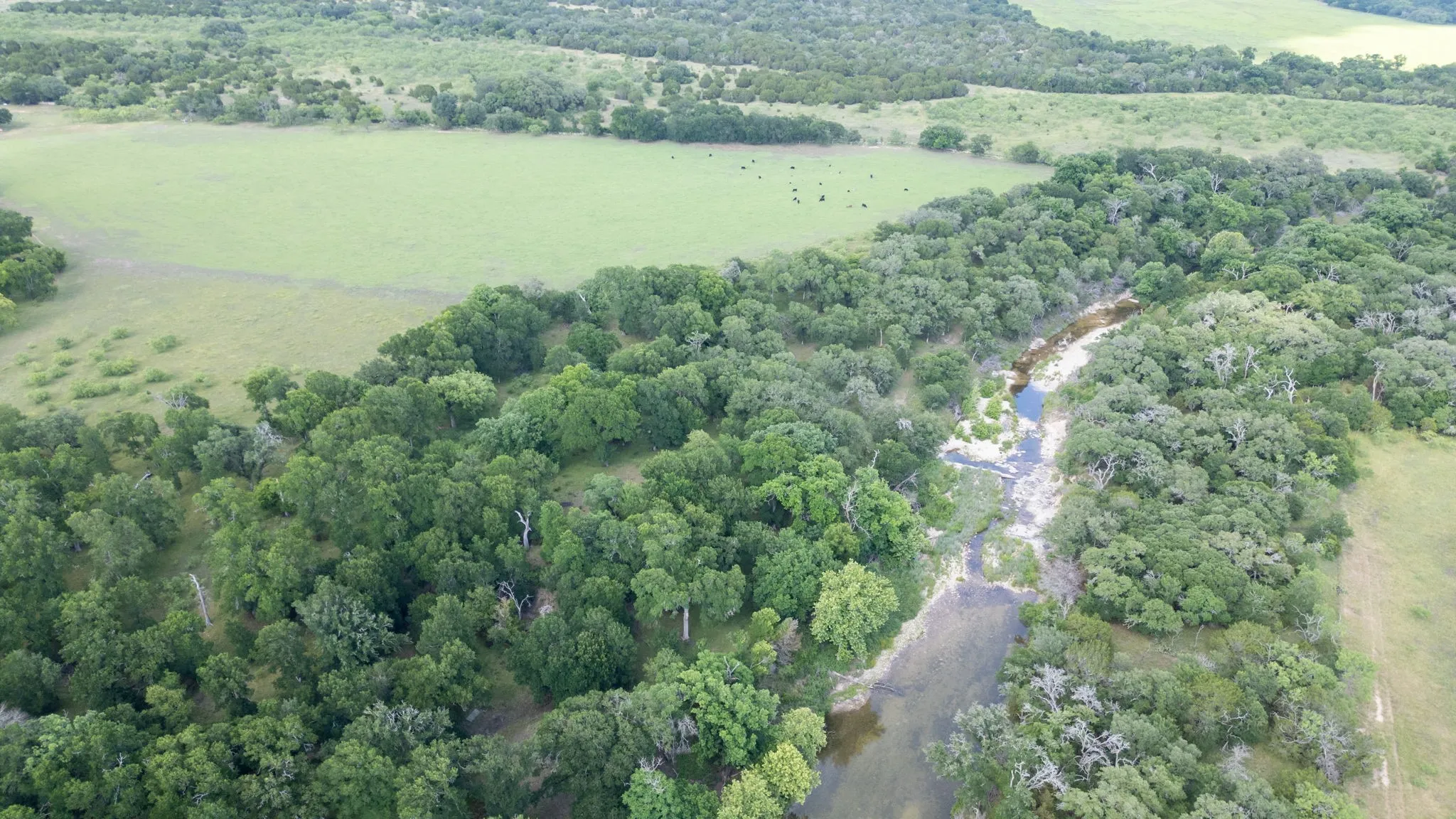 Ranch For Sale in Lampasas County , 11126 Fm 581 E, Lometa, Texas 76853, 0, 0, Garage spaces, 0 Sqft, built in 1978, Price $1,998,000, mls#21283068, Real Estate Agent in Lometa, Homes For Sale in Lampasas county, Homes For Sale in Lometa, Realtor in Lometa Texas, Real Estate Brokerage Independent Realty Texas, Luminita Cordes Realtor