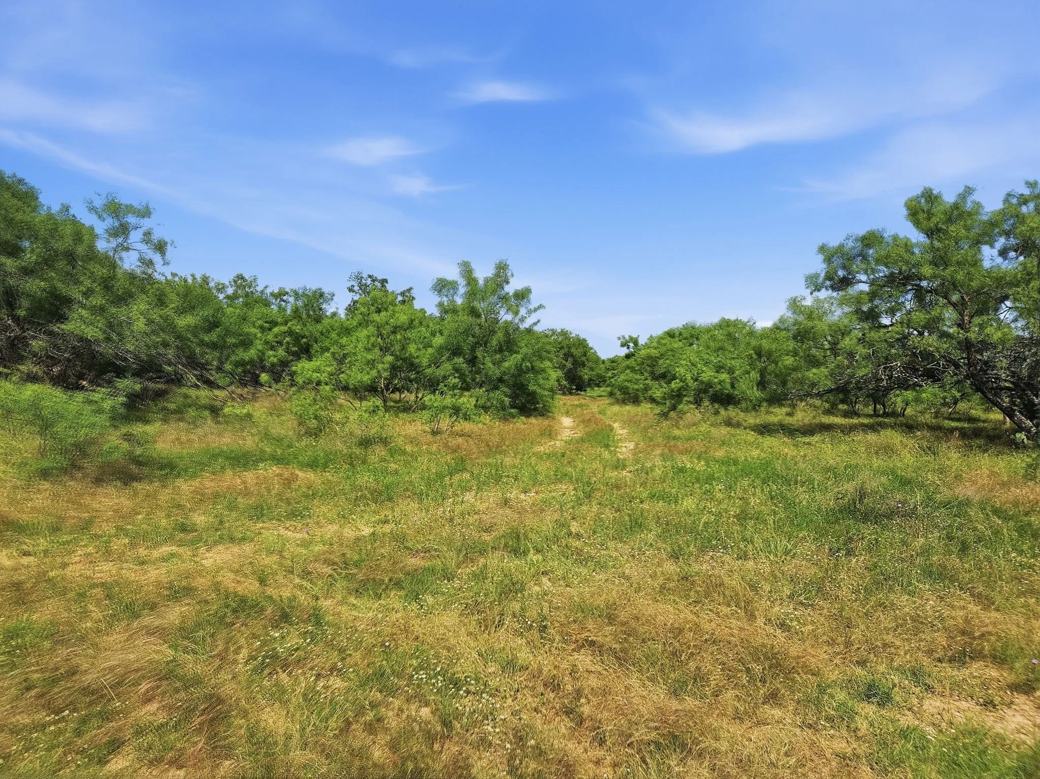 Ranch For Sale in Lampasas County , 11126 Fm 581 E, Lometa, Texas 76853, 0, 0, Garage spaces, 0 Sqft, built in 1978, Price $1,998,000, mls#21283068, Real Estate Agent in Lometa, Homes For Sale in Lampasas county, Homes For Sale in Lometa, Realtor in Lometa Texas, Real Estate Brokerage Independent Realty Texas, Luminita Cordes Realtor