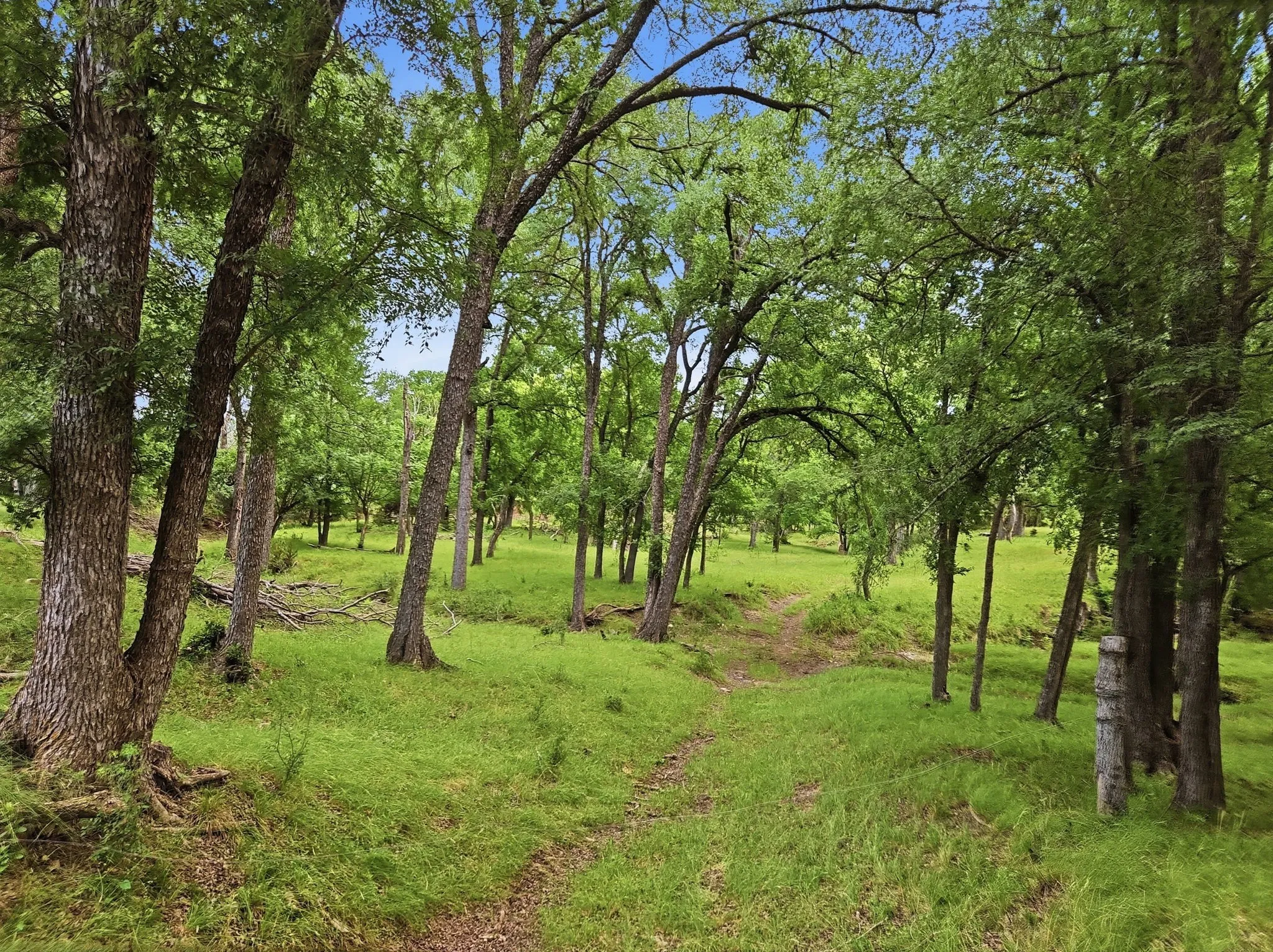Ranch For Sale in Lampasas County , 11126 Fm 581 E, Lometa, Texas 76853, 0, 0, Garage spaces, 0 Sqft, built in 1978, Price $1,998,000, mls#21283068, Real Estate Agent in Lometa, Homes For Sale in Lampasas county, Homes For Sale in Lometa, Realtor in Lometa Texas, Real Estate Brokerage Independent Realty Texas, Luminita Cordes Realtor
