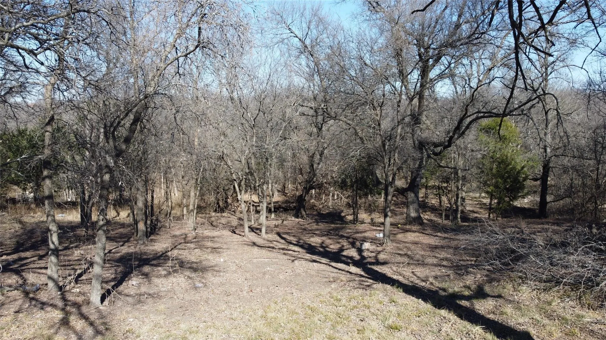 Unimproved Land For Sale in Dallas County , 2659 Creekwood Drive, Cedar Hill, Texas 75104, 0, 0, Garage spaces, 0 Sqft, built in 0, mls#21280968, Real Estate Agent in Cedar Hill, Homes For Sale in Dallas county, Homes For Sale in Cedar Hill, Realtor in Cedar Hill Texas, Real Estate Brokerage Independent Realty Texas, Luminita Cordes Realtor
