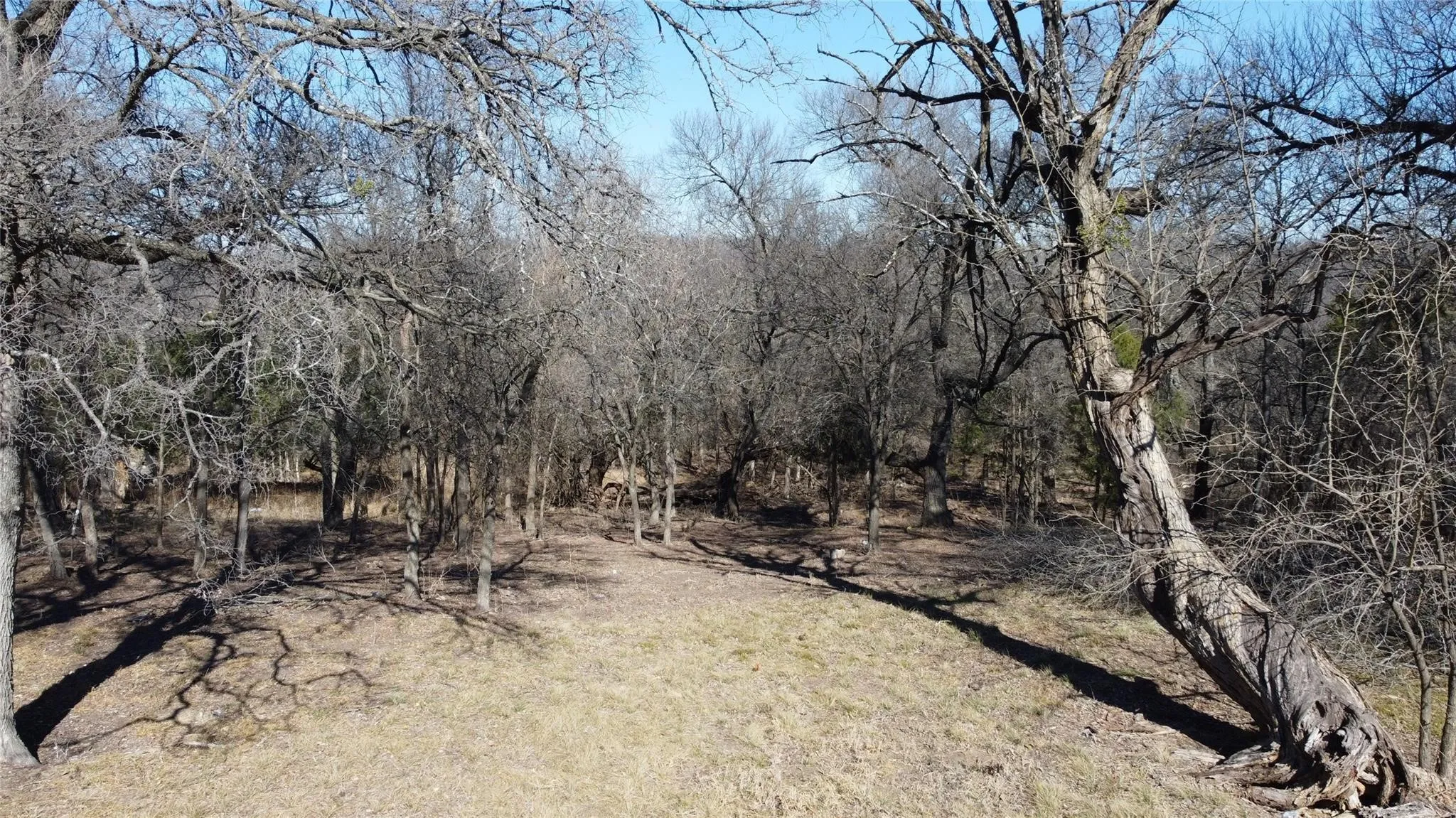 Unimproved Land For Sale in Dallas County , 2659 Creekwood Drive, Cedar Hill, Texas 75104, 0, 0, Garage spaces, 0 Sqft, built in 0, mls#21280968, Real Estate Agent in Cedar Hill, Homes For Sale in Dallas county, Homes For Sale in Cedar Hill, Realtor in Cedar Hill Texas, Real Estate Brokerage Independent Realty Texas, Luminita Cordes Realtor