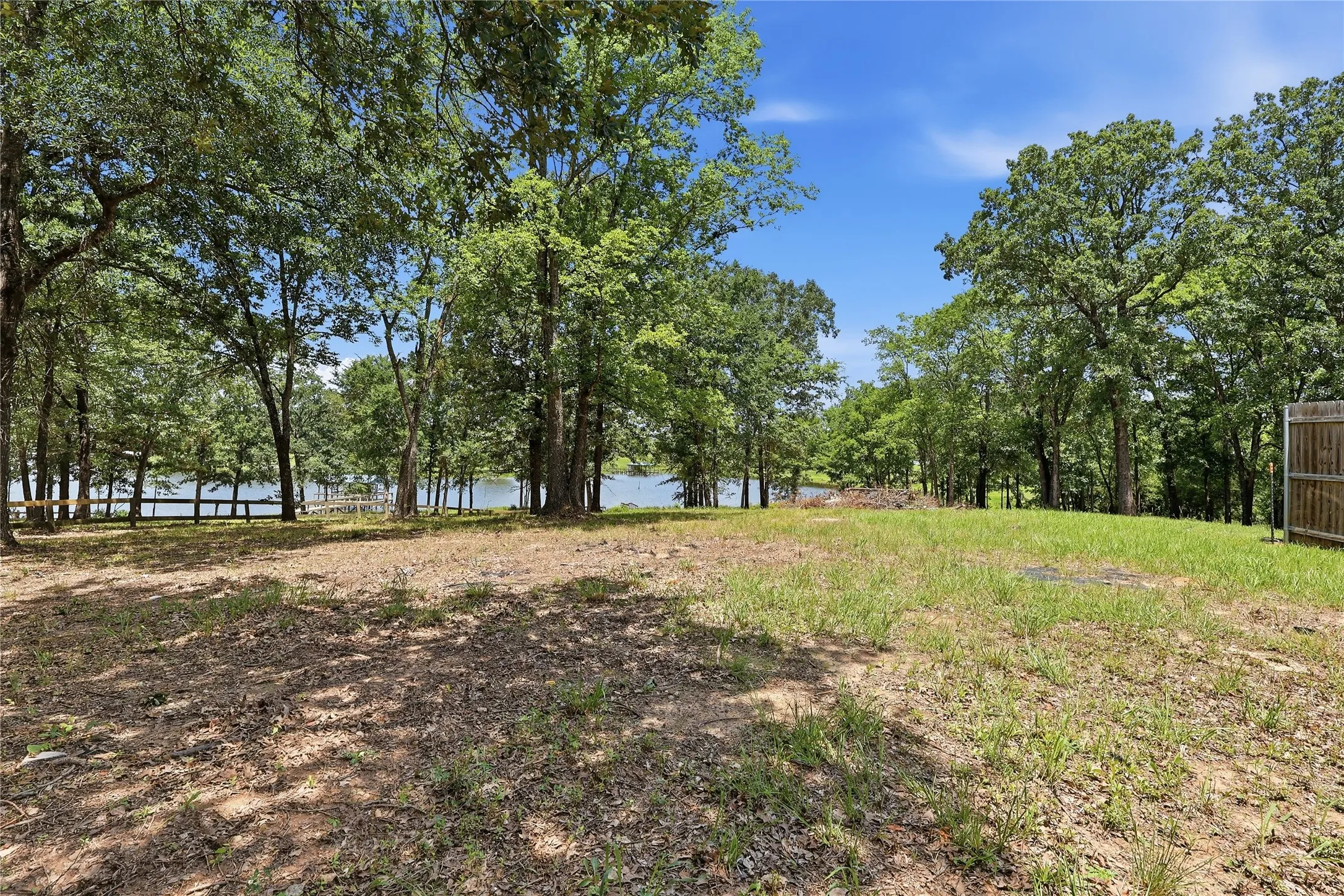Expansive yard.