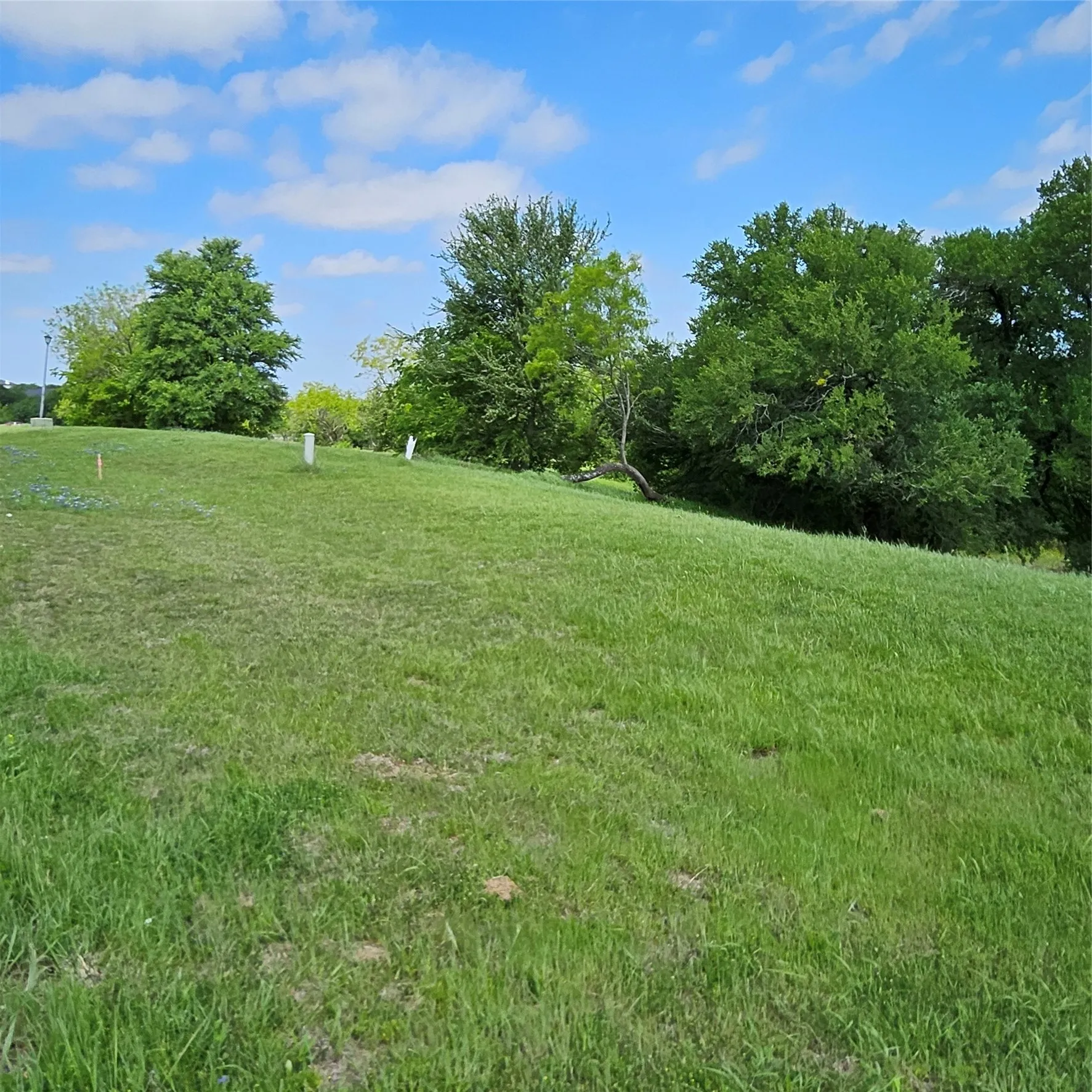Elevated lot featuring mature trees and established greenery