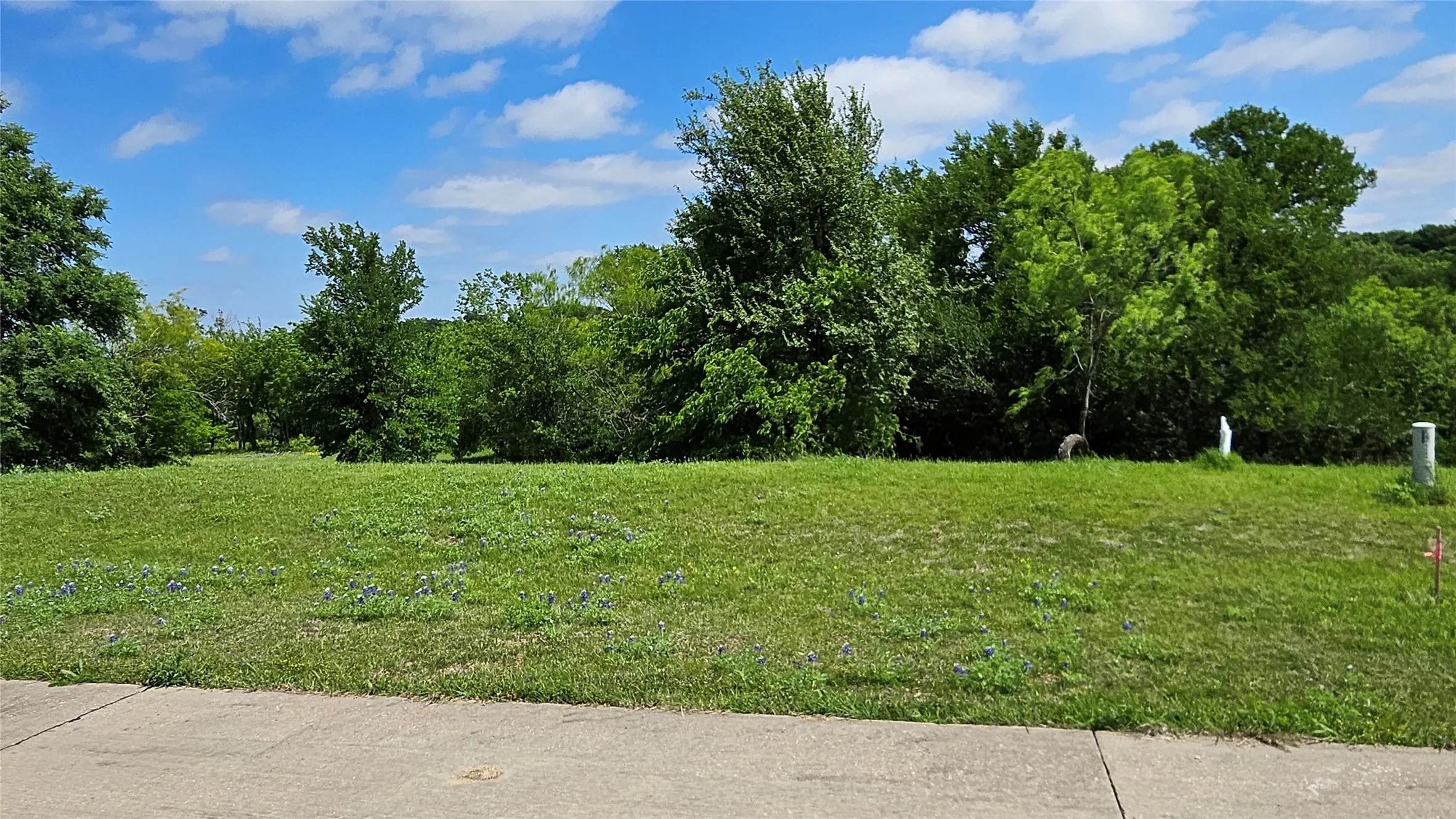 Expansive grassy lot featuring mature trees along the perimeter and a partial concrete border