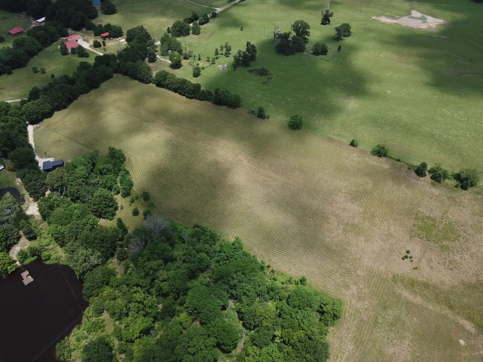 Unimproved Land For Sale in Van Zandt County , 262 Vz County Road 3610, Edgewood, Texas 75117, 0, 0, Garage spaces, 0 Sqft, built in 0, Price $265,000, mls#21282354, Real Estate Agent in Edgewood, Homes For Sale in Van Zandt county, Homes For Sale in Edgewood, Realtor in Edgewood Texas, Real Estate Brokerage Independent Realty Texas, Luminita Cordes Realtor
