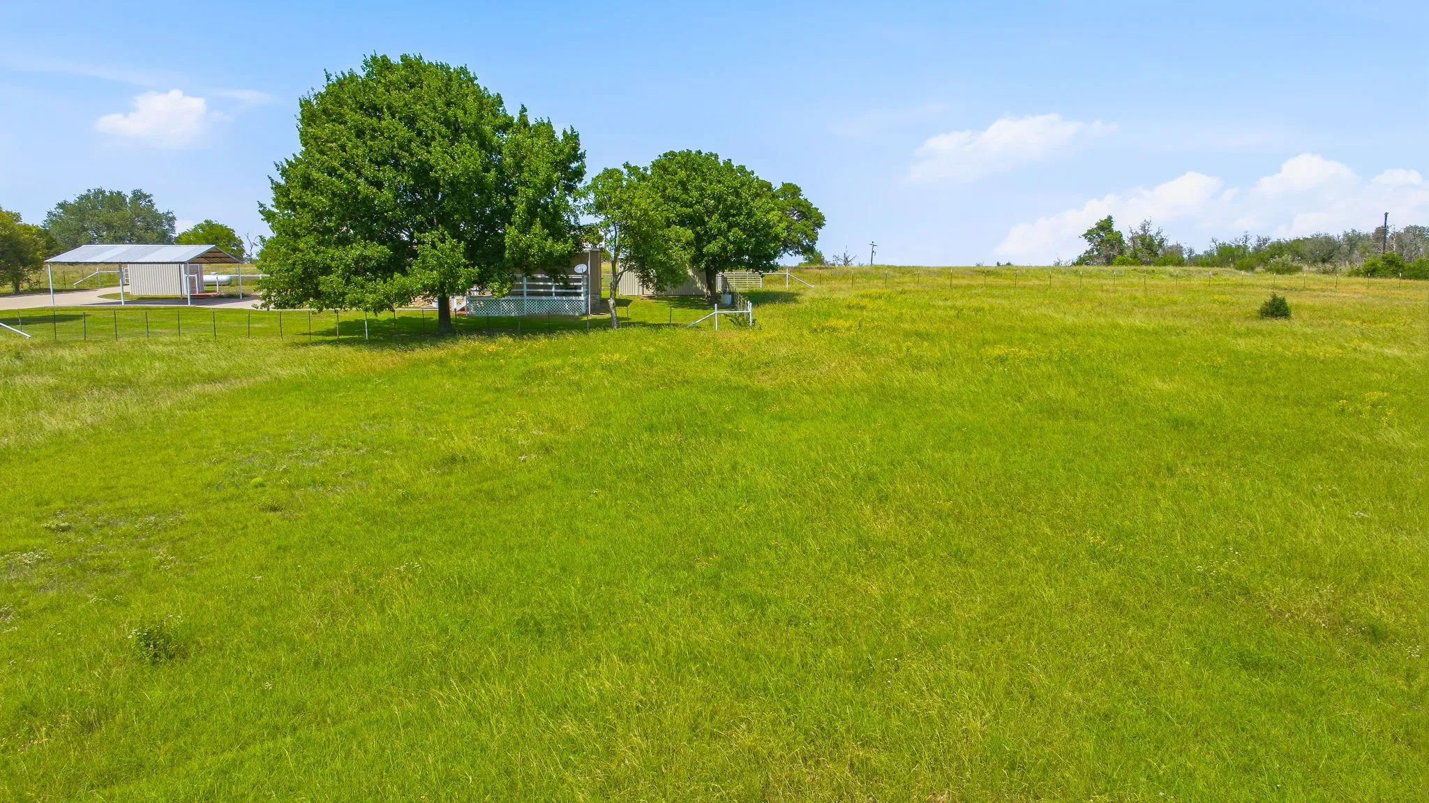 Expansive green pasture with a slight incline, featuring scattered mature trees, a distant outbuilding with a metal roof, and perimeter fencing
