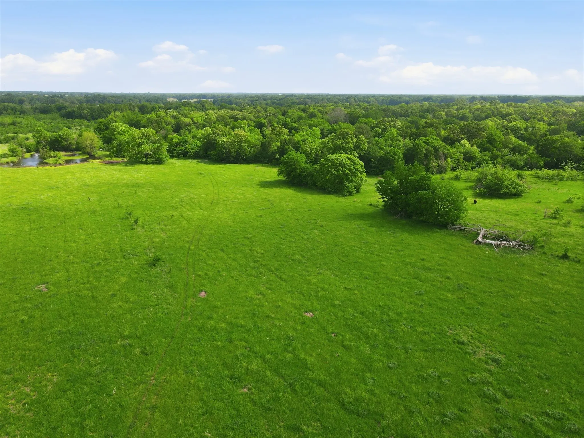 Pasture