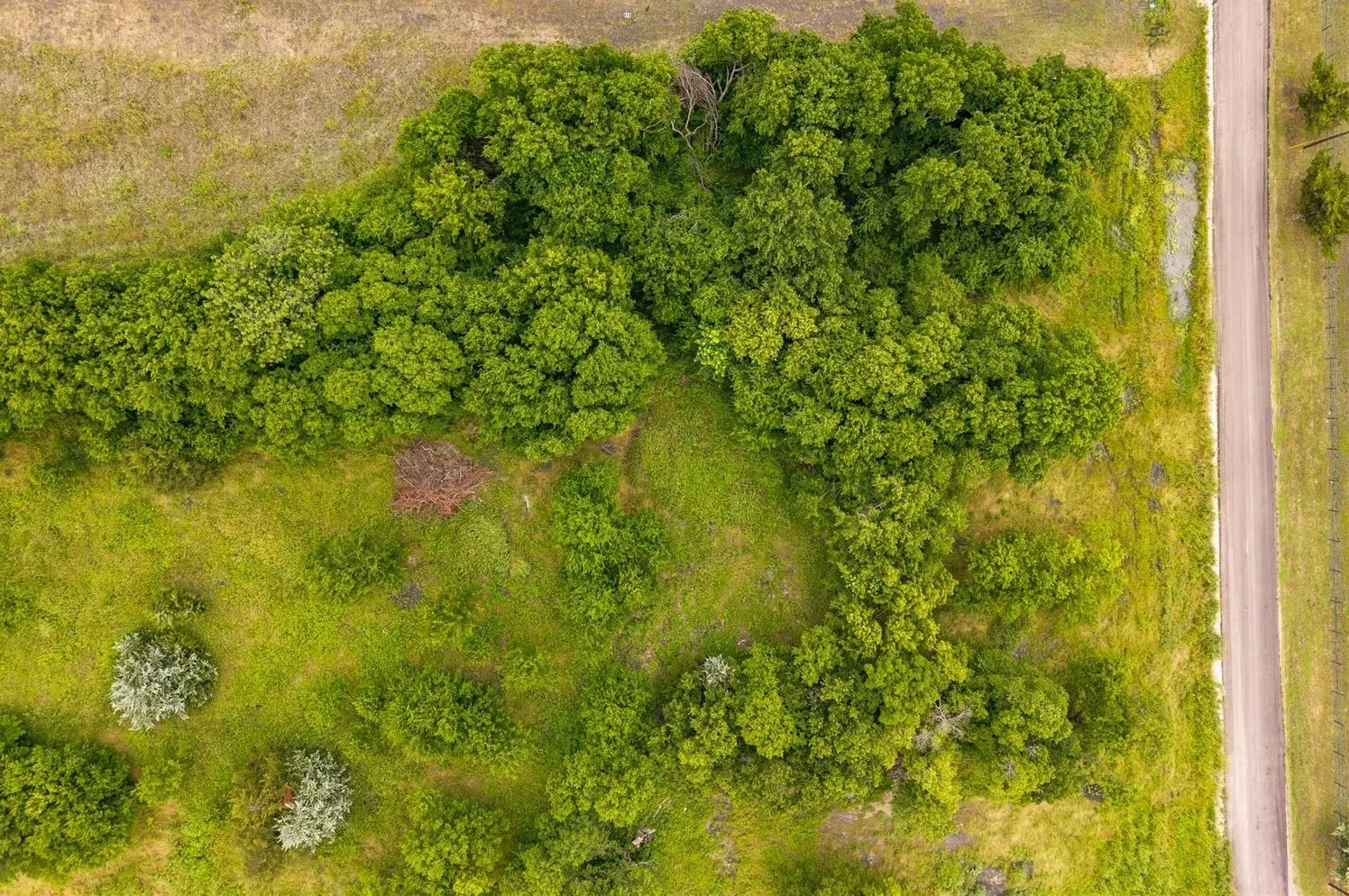 Unimproved Land For Sale in Hunt County , TBD County Road 1119, Greenville, Texas 75401, 0, 0, Garage spaces, 0 Sqft, built in 0, mls#21282895, Real Estate Agent in Greenville, Homes For Sale in Hunt county, Homes For Sale in Greenville, Realtor in Greenville Texas, Real Estate Brokerage Independent Realty Texas, Luminita Cordes Realtor