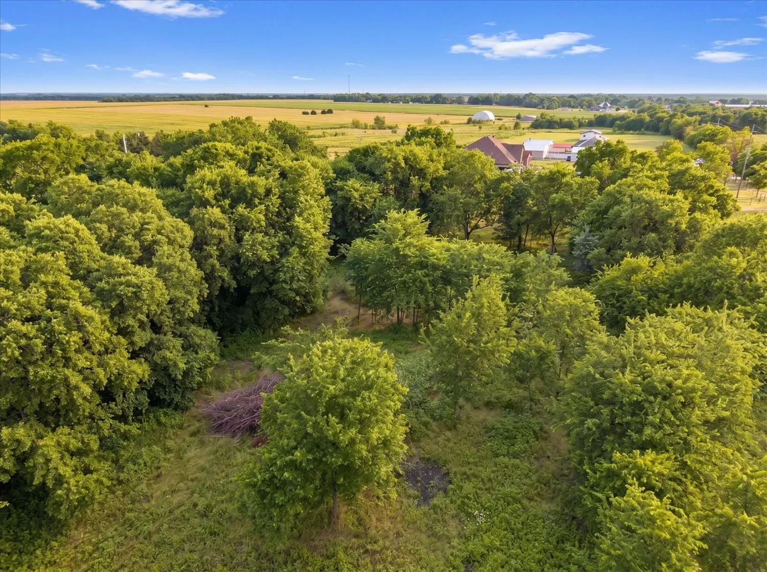 Unimproved Land For Sale in Hunt County , TBD County Road 1119, Greenville, Texas 75401, 0, 0, Garage spaces, 0 Sqft, built in 0, mls#21282895, Real Estate Agent in Greenville, Homes For Sale in Hunt county, Homes For Sale in Greenville, Realtor in Greenville Texas, Real Estate Brokerage Independent Realty Texas, Luminita Cordes Realtor