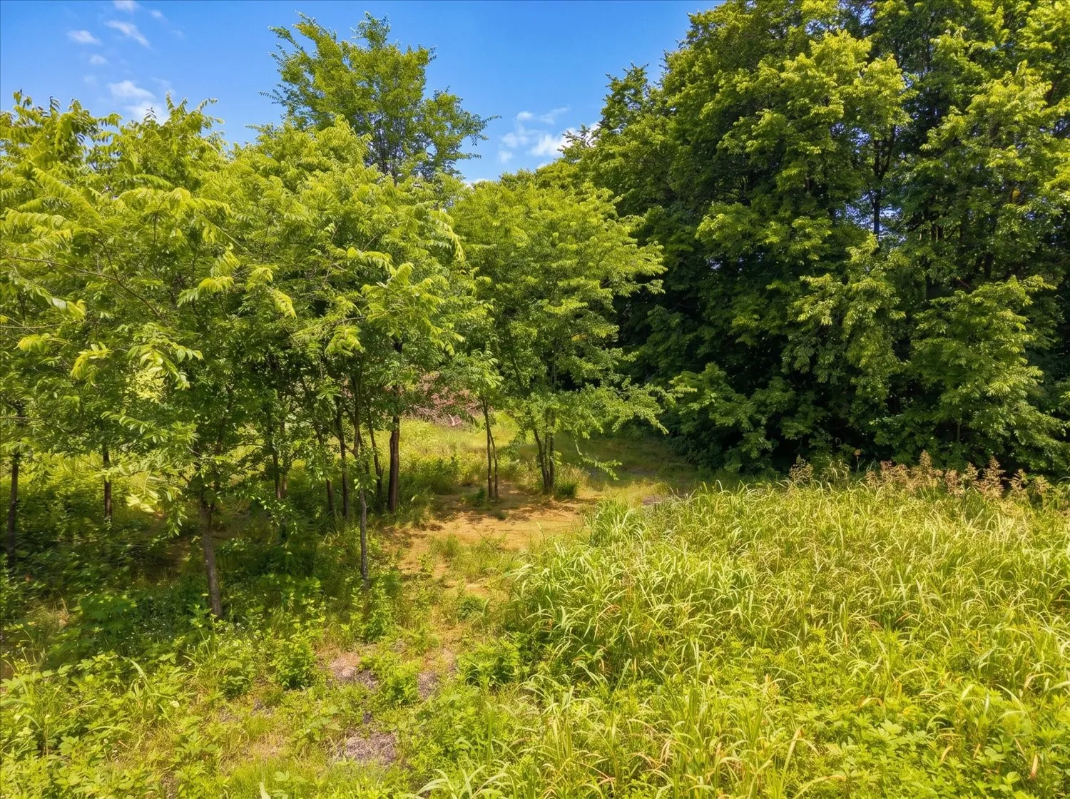 Unimproved Land For Sale in Hunt County , TBD County Road 1119, Greenville, Texas 75401, 0, 0, Garage spaces, 0 Sqft, built in 0, mls#21282895, Real Estate Agent in Greenville, Homes For Sale in Hunt county, Homes For Sale in Greenville, Realtor in Greenville Texas, Real Estate Brokerage Independent Realty Texas, Luminita Cordes Realtor