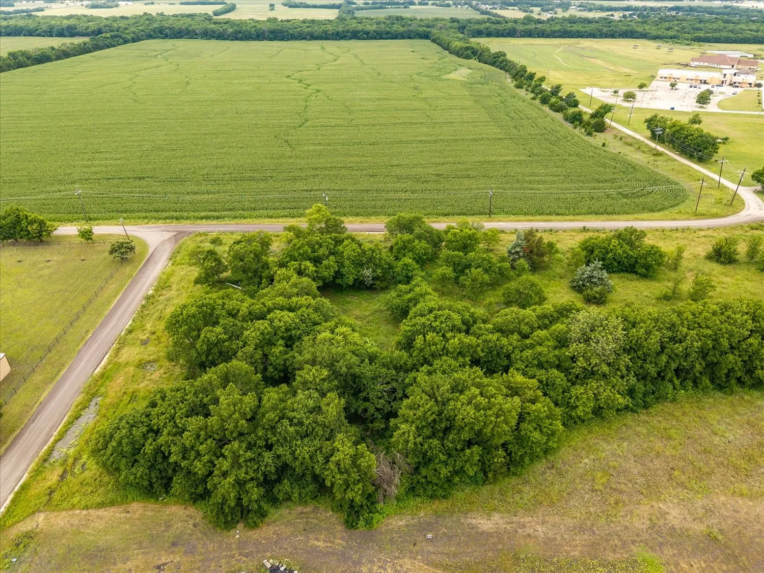 Unimproved Land For Sale in Hunt County , TBD County Road 1119, Greenville, Texas 75401, 0, 0, Garage spaces, 0 Sqft, built in 0, mls#21282895, Real Estate Agent in Greenville, Homes For Sale in Hunt county, Homes For Sale in Greenville, Realtor in Greenville Texas, Real Estate Brokerage Independent Realty Texas, Luminita Cordes Realtor
