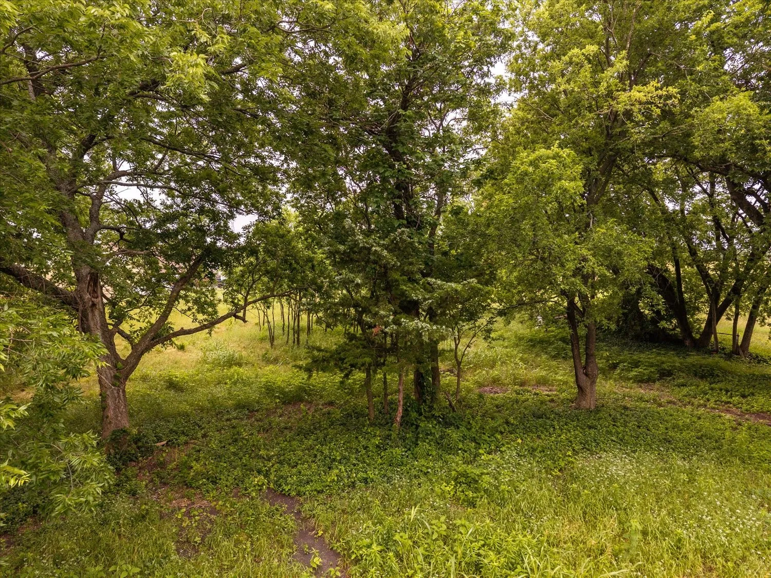 Unimproved Land For Sale in Hunt County , TBD County Road 1119, Greenville, Texas 75401, 0, 0, Garage spaces, 0 Sqft, built in 0, mls#21282895, Real Estate Agent in Greenville, Homes For Sale in Hunt county, Homes For Sale in Greenville, Realtor in Greenville Texas, Real Estate Brokerage Independent Realty Texas, Luminita Cordes Realtor