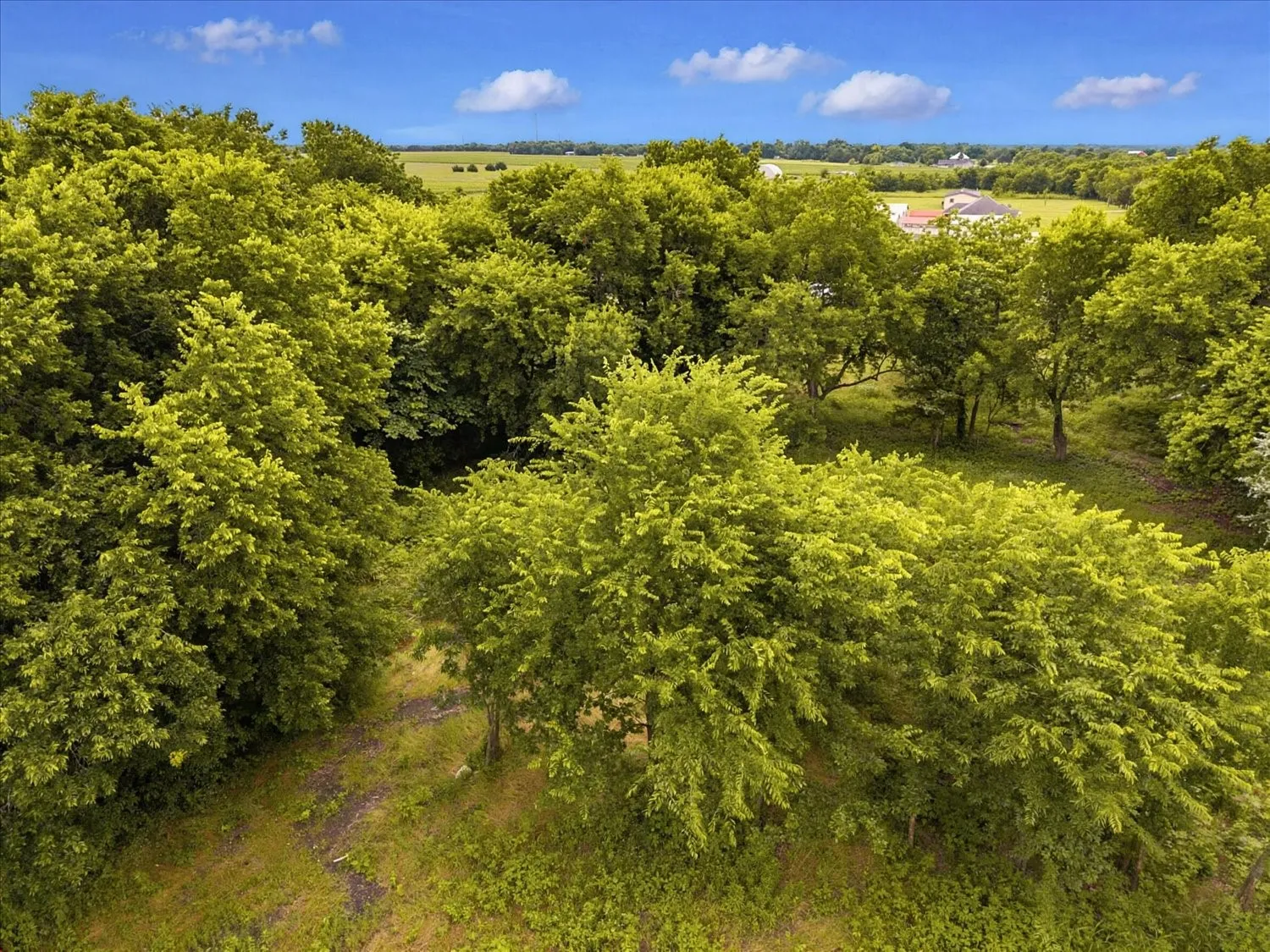 Unimproved Land For Sale in Hunt County , TBD County Road 1119, Greenville, Texas 75401, 0, 0, Garage spaces, 0 Sqft, built in 0, mls#21282895, Real Estate Agent in Greenville, Homes For Sale in Hunt county, Homes For Sale in Greenville, Realtor in Greenville Texas, Real Estate Brokerage Independent Realty Texas, Luminita Cordes Realtor