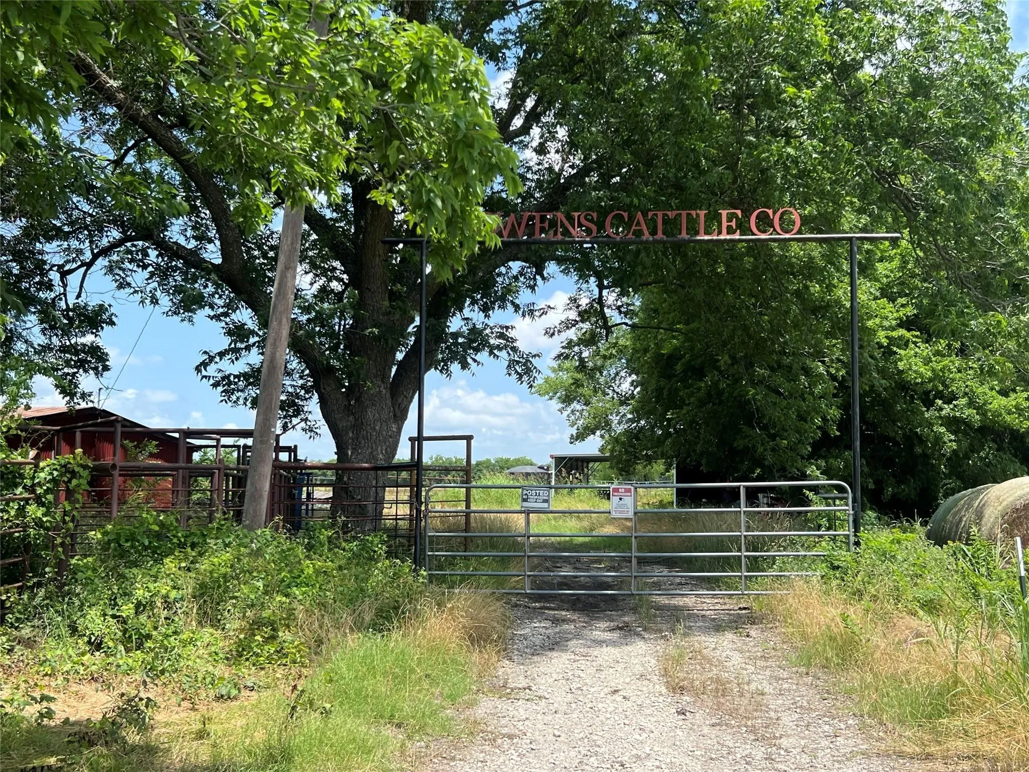 Unimproved Land For Sale in Fannin County , TBD CR 3735, Wolfe City, Texas 75496, 0, 0, Garage spaces, 0 Sqft, built in 0, Price $950,000, mls#21283470, Real Estate Agent in Wolfe City, Homes For Sale in Fannin county, Homes For Sale in Wolfe City, Realtor in Wolfe City Texas, Real Estate Brokerage Independent Realty Texas, Luminita Cordes Realtor