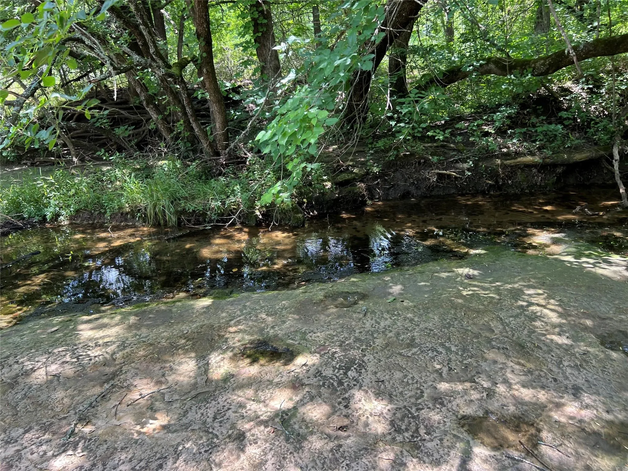 Unimproved Land For Sale in Fannin County , TBD CR 3735, Wolfe City, Texas 75496, 0, 0, Garage spaces, 0 Sqft, built in 0, Price $950,000, mls#21283470, Real Estate Agent in Wolfe City, Homes For Sale in Fannin county, Homes For Sale in Wolfe City, Realtor in Wolfe City Texas, Real Estate Brokerage Independent Realty Texas, Luminita Cordes Realtor