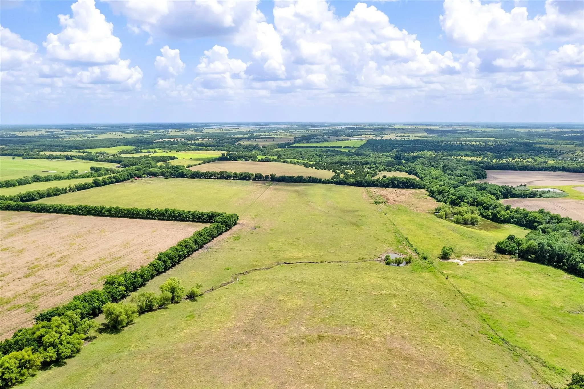 Unimproved Land For Sale in Fannin County , TBD CR 3735, Wolfe City, Texas 75496, 0, 0, Garage spaces, 0 Sqft, built in 0, Price $950,000, mls#21283470, Real Estate Agent in Wolfe City, Homes For Sale in Fannin county, Homes For Sale in Wolfe City, Realtor in Wolfe City Texas, Real Estate Brokerage Independent Realty Texas, Luminita Cordes Realtor