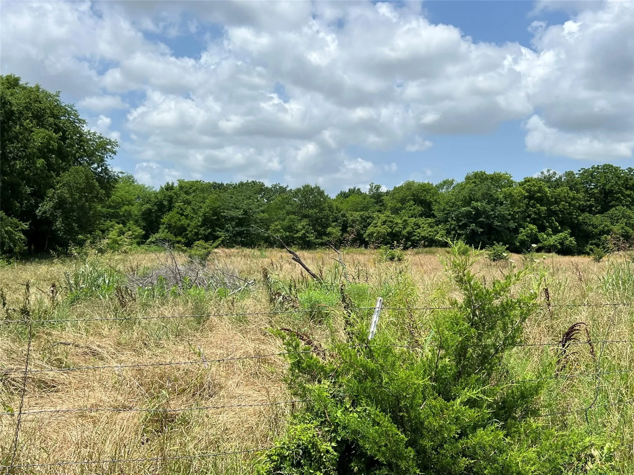 Unimproved Land For Sale in Fannin County , TBD CR 3735, Wolfe City, Texas 75496, 0, 0, Garage spaces, 0 Sqft, built in 0, Price $950,000, mls#21283470, Real Estate Agent in Wolfe City, Homes For Sale in Fannin county, Homes For Sale in Wolfe City, Realtor in Wolfe City Texas, Real Estate Brokerage Independent Realty Texas, Luminita Cordes Realtor
