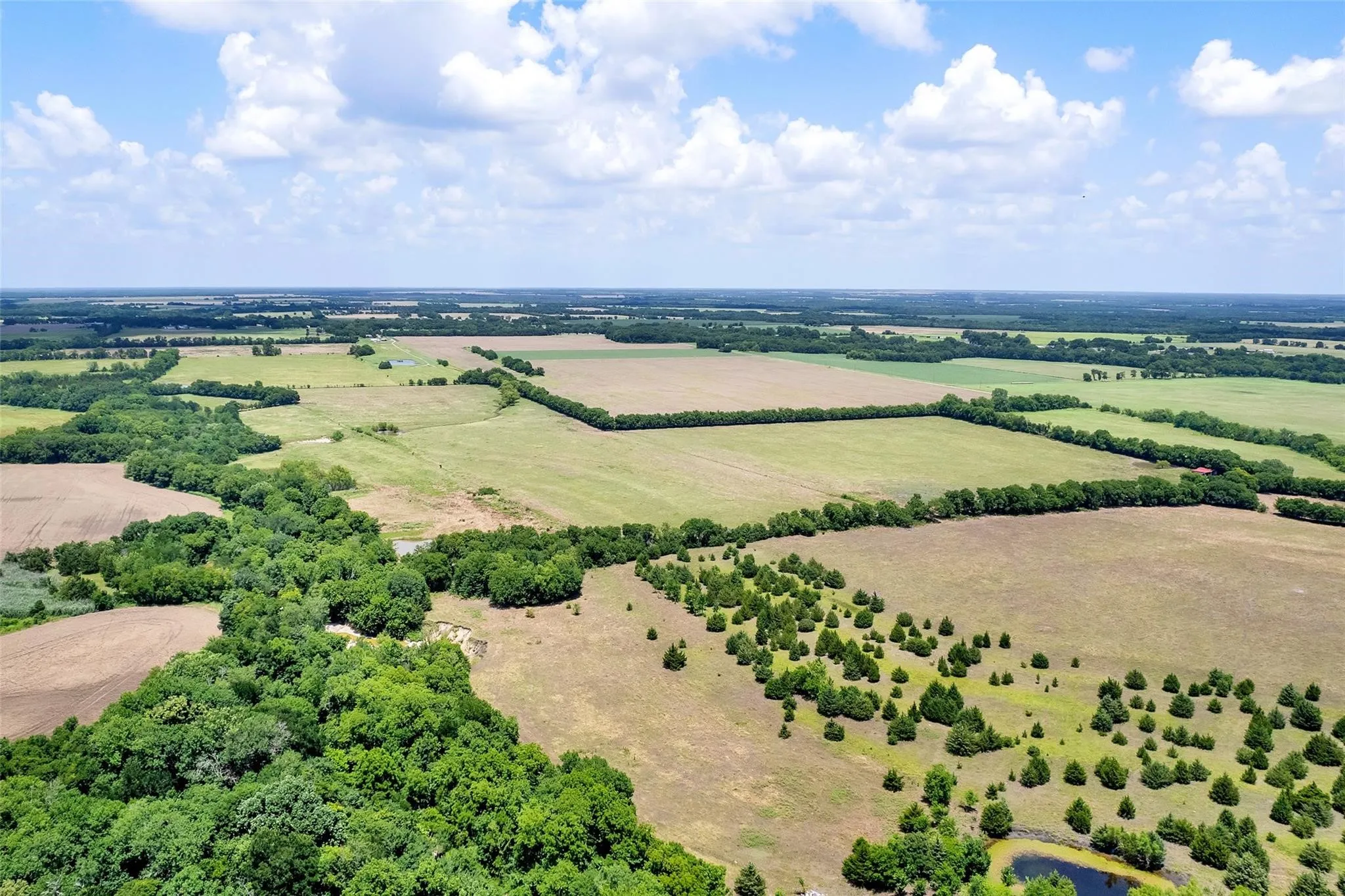 Unimproved Land For Sale in Fannin County , TBD CR 3735, Wolfe City, Texas 75496, 0, 0, Garage spaces, 0 Sqft, built in 0, Price $950,000, mls#21283470, Real Estate Agent in Wolfe City, Homes For Sale in Fannin county, Homes For Sale in Wolfe City, Realtor in Wolfe City Texas, Real Estate Brokerage Independent Realty Texas, Luminita Cordes Realtor