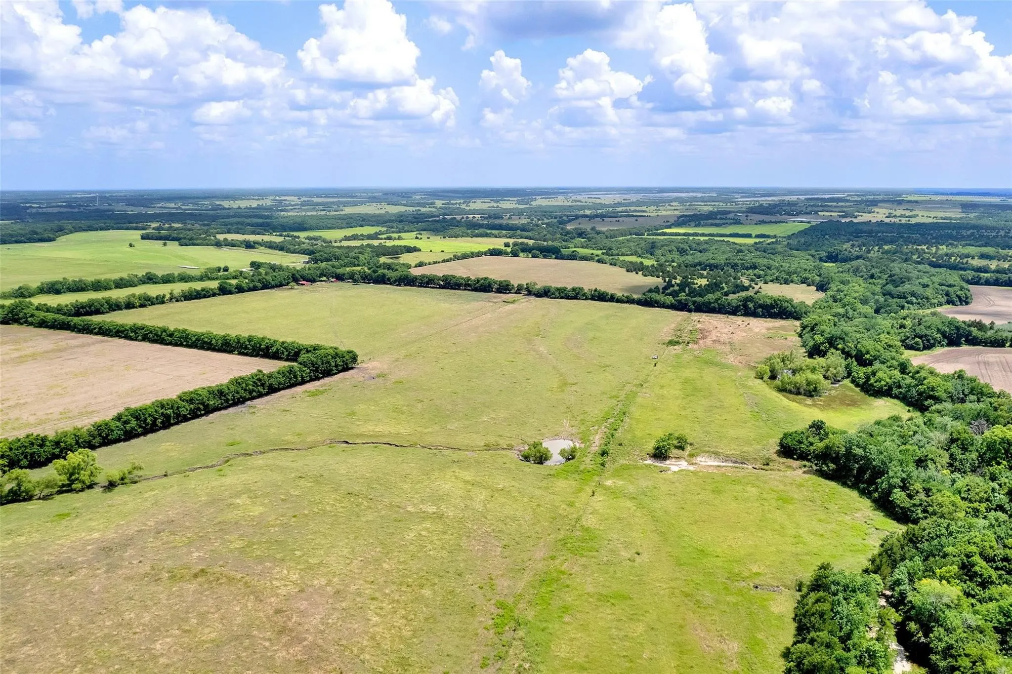 Unimproved Land For Sale in Fannin County , TBD CR 3735, Wolfe City, Texas 75496, 0, 0, Garage spaces, 0 Sqft, built in 0, Price $950,000, mls#21283470, Real Estate Agent in Wolfe City, Homes For Sale in Fannin county, Homes For Sale in Wolfe City, Realtor in Wolfe City Texas, Real Estate Brokerage Independent Realty Texas, Luminita Cordes Realtor