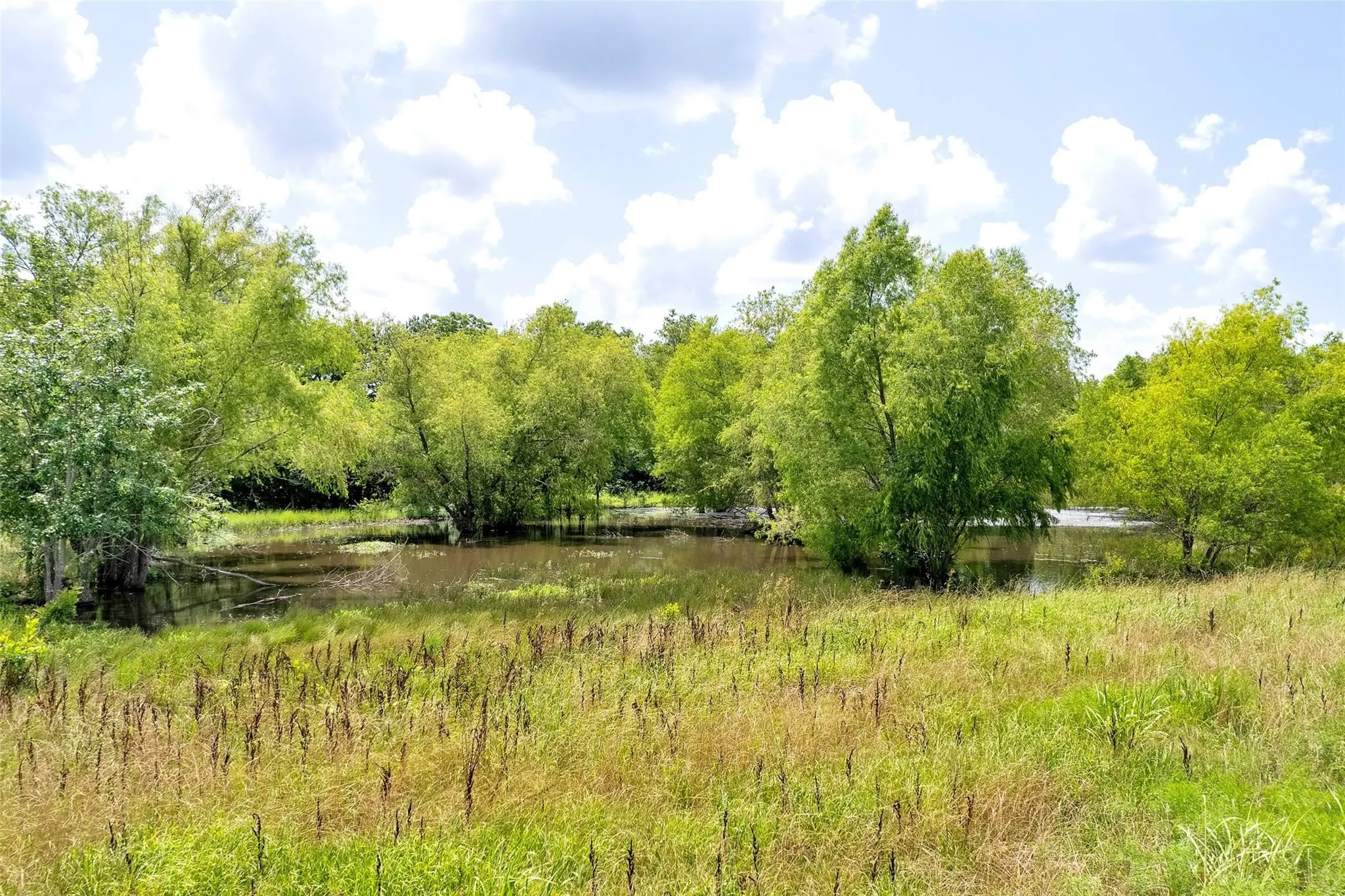 Unimproved Land For Sale in Fannin County , TBD CR 3735, Wolfe City, Texas 75496, 0, 0, Garage spaces, 0 Sqft, built in 0, Price $950,000, mls#21283470, Real Estate Agent in Wolfe City, Homes For Sale in Fannin county, Homes For Sale in Wolfe City, Realtor in Wolfe City Texas, Real Estate Brokerage Independent Realty Texas, Luminita Cordes Realtor