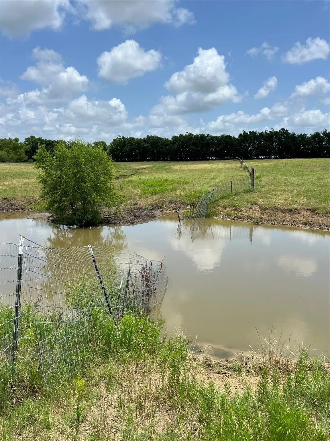 Unimproved Land For Sale in Fannin County , TBD CR 3735, Wolfe City, Texas 75496, 0, 0, Garage spaces, 0 Sqft, built in 0, Price $950,000, mls#21283470, Real Estate Agent in Wolfe City, Homes For Sale in Fannin county, Homes For Sale in Wolfe City, Realtor in Wolfe City Texas, Real Estate Brokerage Independent Realty Texas, Luminita Cordes Realtor