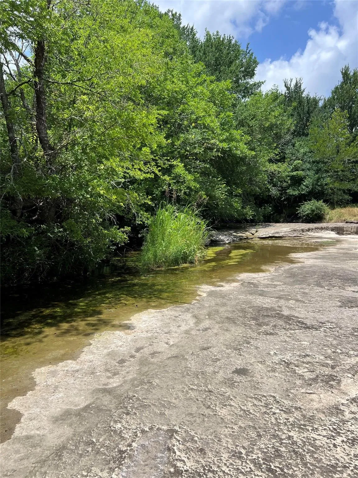 Unimproved Land For Sale in Fannin County , TBD CR 3735, Wolfe City, Texas 75496, 0, 0, Garage spaces, 0 Sqft, built in 0, Price $950,000, mls#21283470, Real Estate Agent in Wolfe City, Homes For Sale in Fannin county, Homes For Sale in Wolfe City, Realtor in Wolfe City Texas, Real Estate Brokerage Independent Realty Texas, Luminita Cordes Realtor
