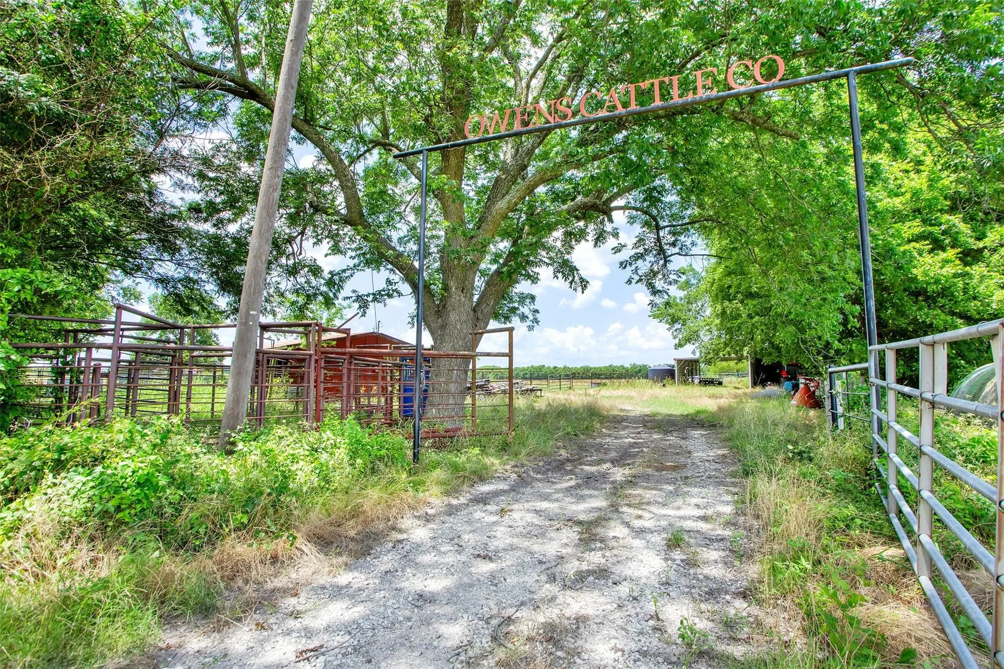 Unimproved Land For Sale in Fannin County , TBD CR 3735, Wolfe City, Texas 75496, 0, 0, Garage spaces, 0 Sqft, built in 0, Price $950,000, mls#21283470, Real Estate Agent in Wolfe City, Homes For Sale in Fannin county, Homes For Sale in Wolfe City, Realtor in Wolfe City Texas, Real Estate Brokerage Independent Realty Texas, Luminita Cordes Realtor